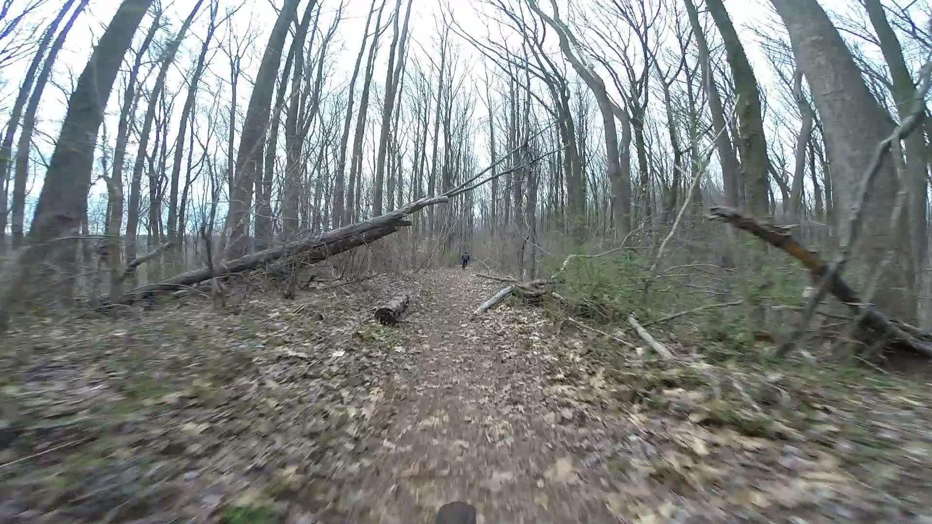 A dirt path winding through a dense forest with bare trees and fallen logs, indicating early spring or late autumn. The trail is lined with scattered leaves and patches of green underbrush. A figure can be seen walking in the distance, suggesting a tranquil outdoor setting. Trails seperated by streets mountain bike trail.