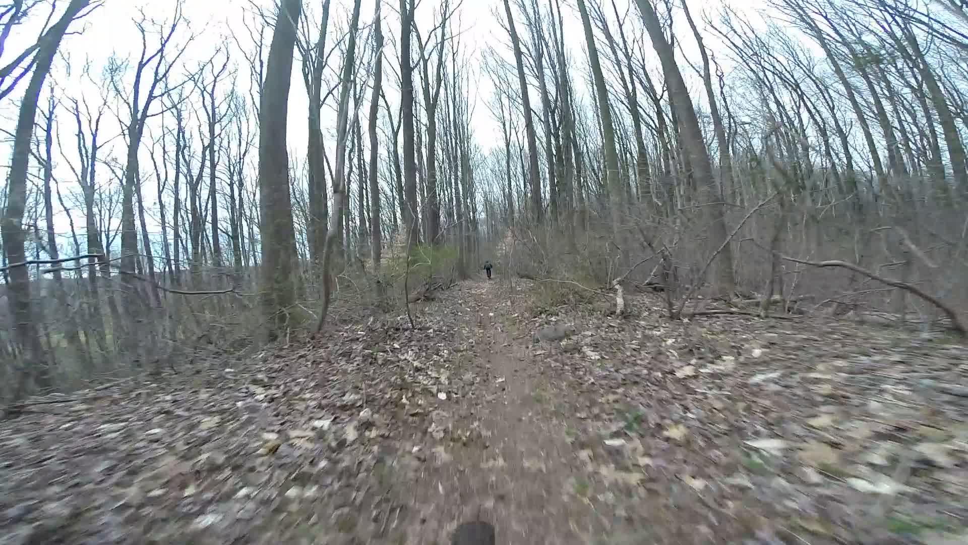 A narrow dirt trail winding through a wooded area with bare trees and scattered leaves on the ground. In the distance, a person is walking on the trail, surrounded by sparse underbrush and an overcast sky. Trails seperated by streets mountain bike trail.