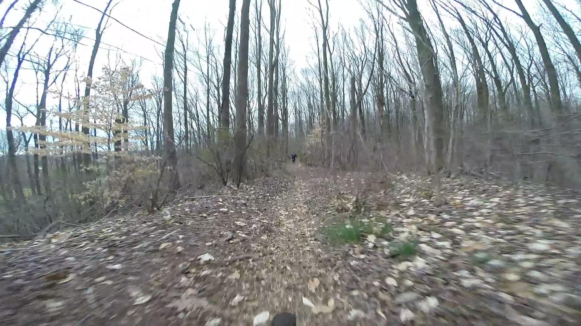 A winding dirt trail through a deciduous forest, surrounded by tall, bare trees and scattered leaves on the ground, with a person visible in the distance ahead. The scene has a gray, overcast sky, indicating a cool, possibly early spring or late autumn day. Trails seperated by streets mountain bike trail.