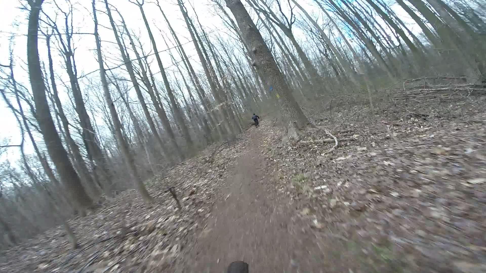 A trail view in a wooded area, showing a narrow dirt path lined with bare trees and scattered leaves. A person is riding a bicycle along the path, captured in motion, creating a sense of adventure in a natural setting. Trails seperated by streets mountain bike trail.