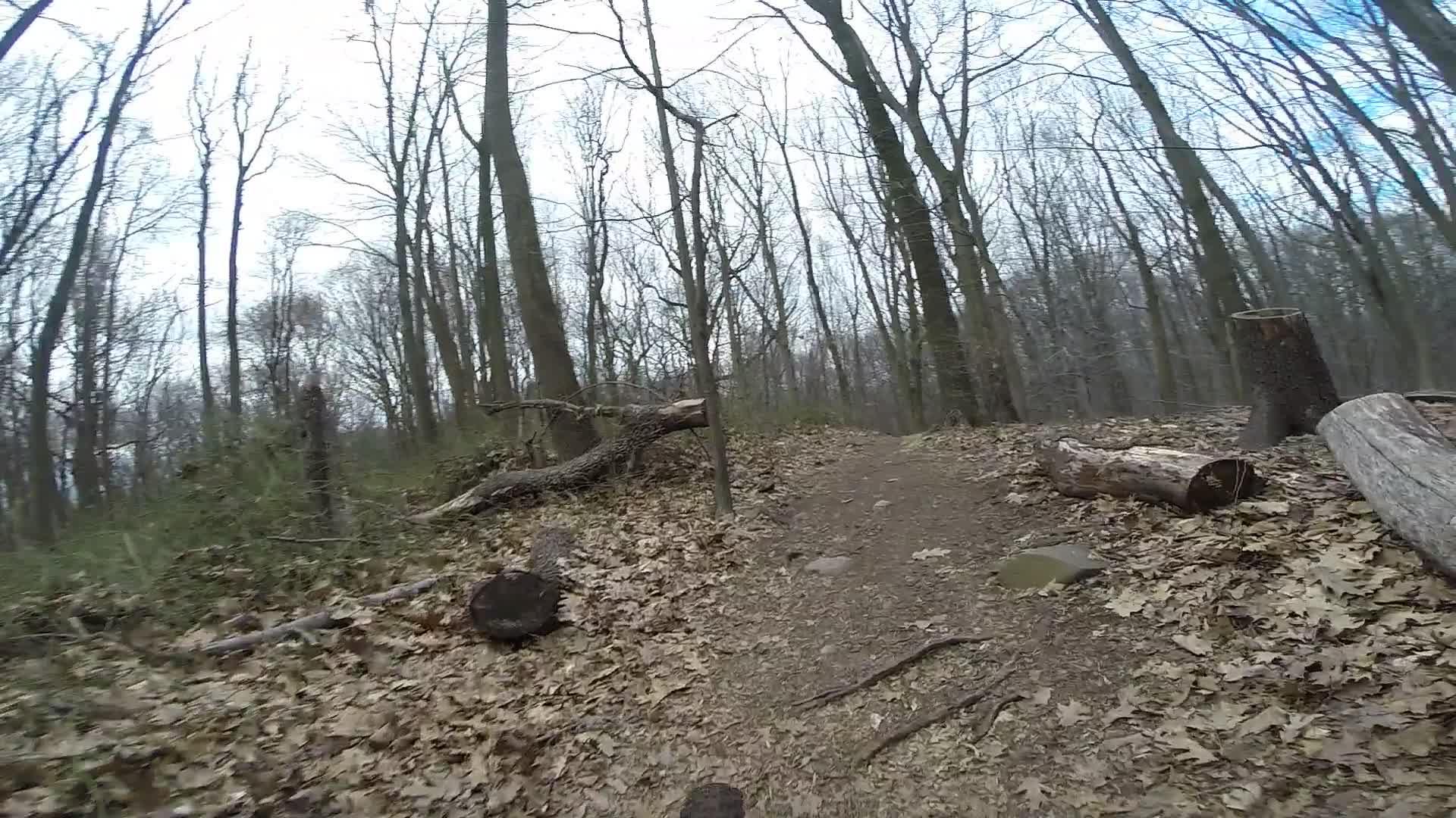 A dirt trail winding through a wooded area, surrounded by bare trees and scattered fallen leaves. A few logs are positioned along the path, indicating a natural and unmaintained landscape. The sky is cloudy, creating a muted atmosphere. Trails seperated by streets mountain bike trail.