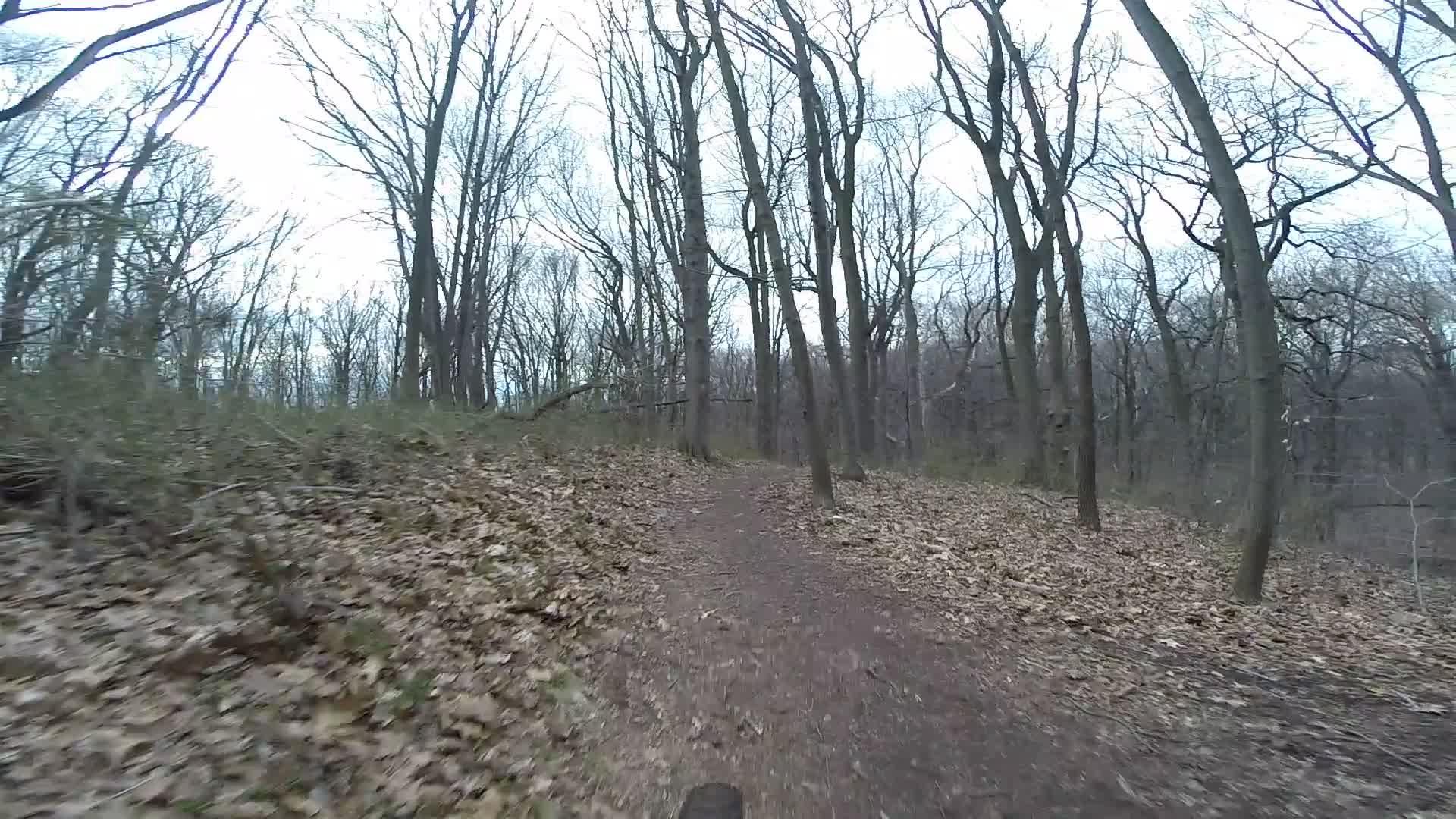 A dirt path winding through a forest during early spring, lined with bare trees and fallen leaves, under a cloudy sky. Trails seperated by streets mountain bike trail.