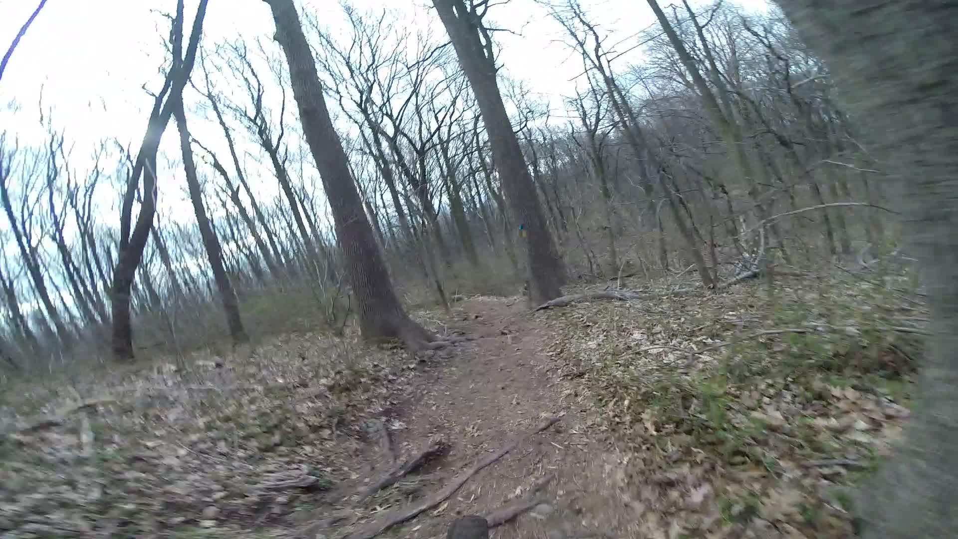 A winding dirt trail through a forest, surrounded by tall, bare trees and scattered leaves on the ground. The scene captures a natural, tranquil setting, likely taken during early spring or late fall. Trails seperated by streets mountain bike trail.