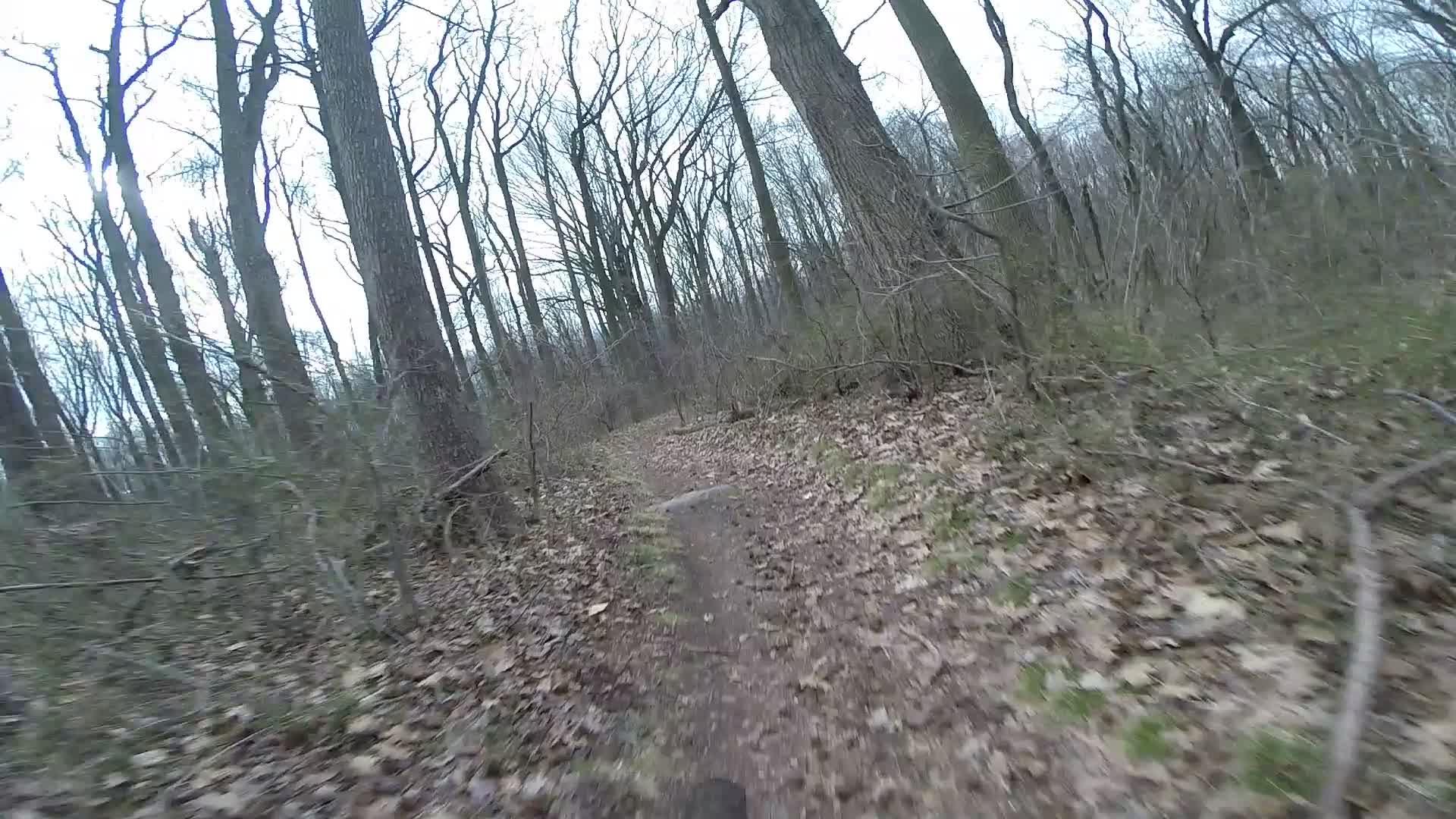 A narrow trail winding through a woodsy area, surrounded by tall, leafless trees and scattered brown leaves on the ground. The scene is overcast, suggesting a cool, early spring day. Trails seperated by streets mountain bike trail.