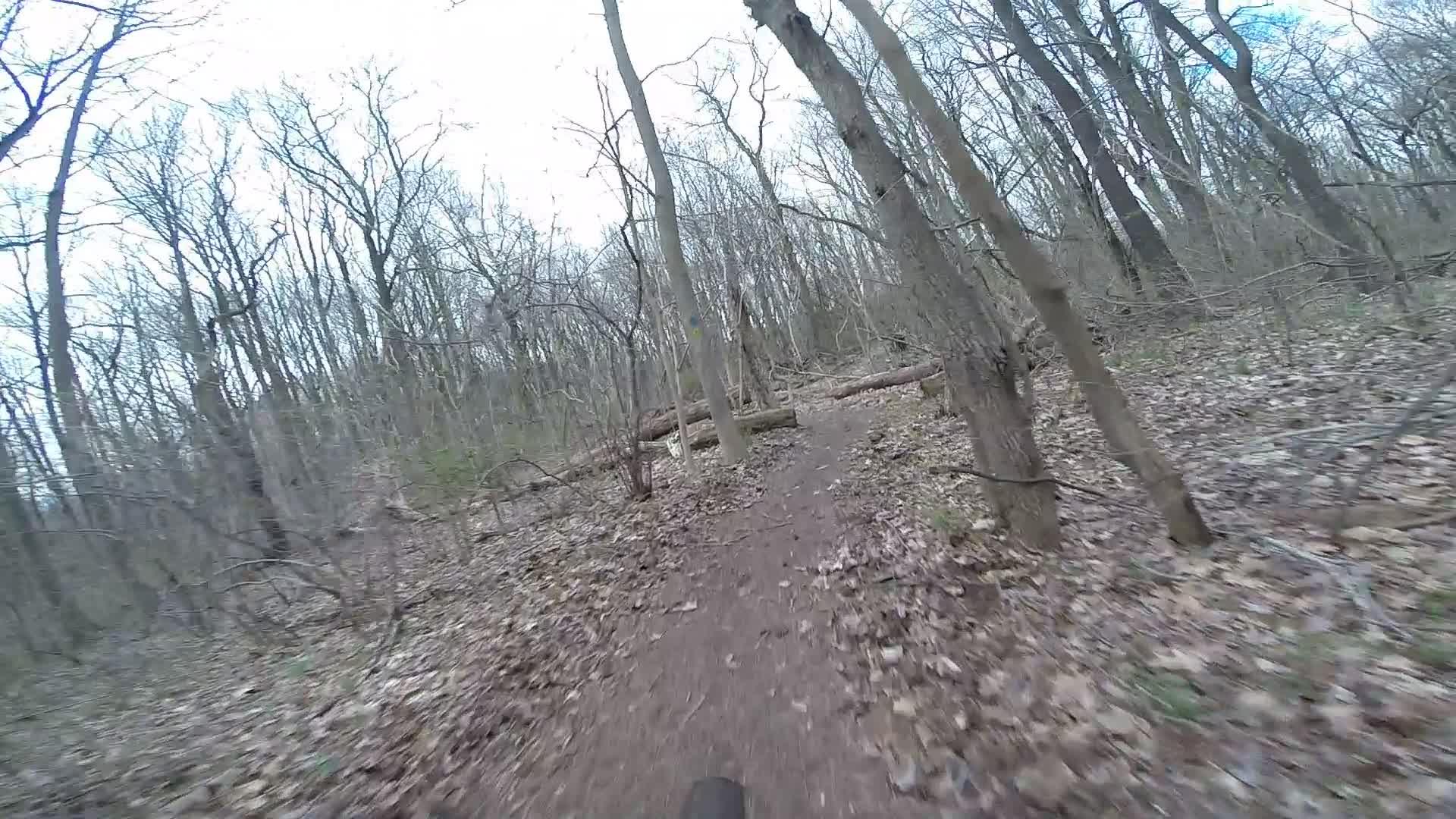 A narrow dirt trail winding through a wooded area, surrounded by bare trees and scattered fallen leaves. The scene conveys a sense of an outdoor adventure in a natural setting, with a muted sky overhead. Trails seperated by streets mountain bike trail.