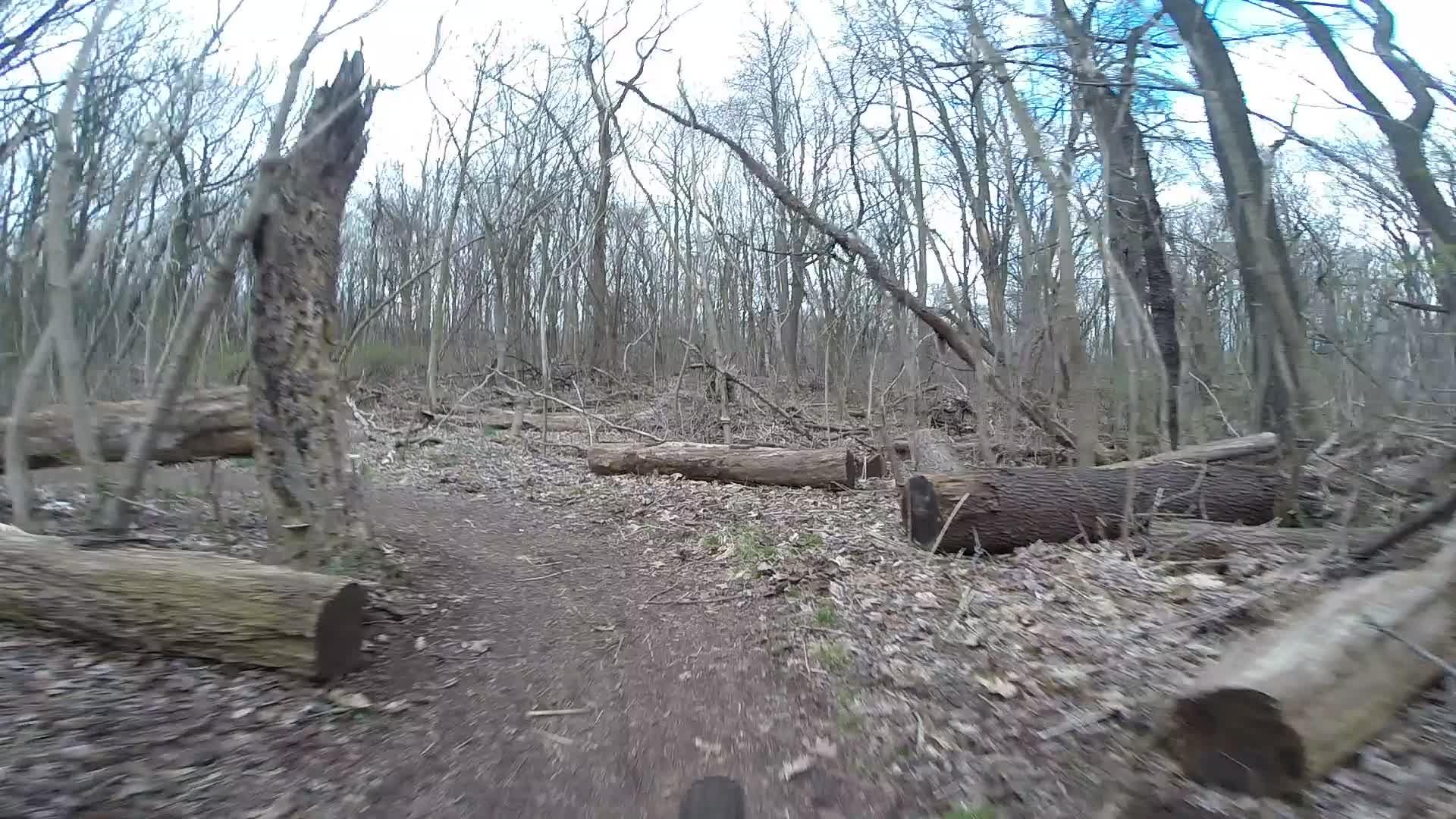 A dirt trail winding through a wooded area with scattered fallen logs and bare trees, creating a natural, rustic landscape. The scene is set during early spring, with dry leaves covering the ground and a clear blue sky visible in the background. Trails seperated by streets mountain bike trail.