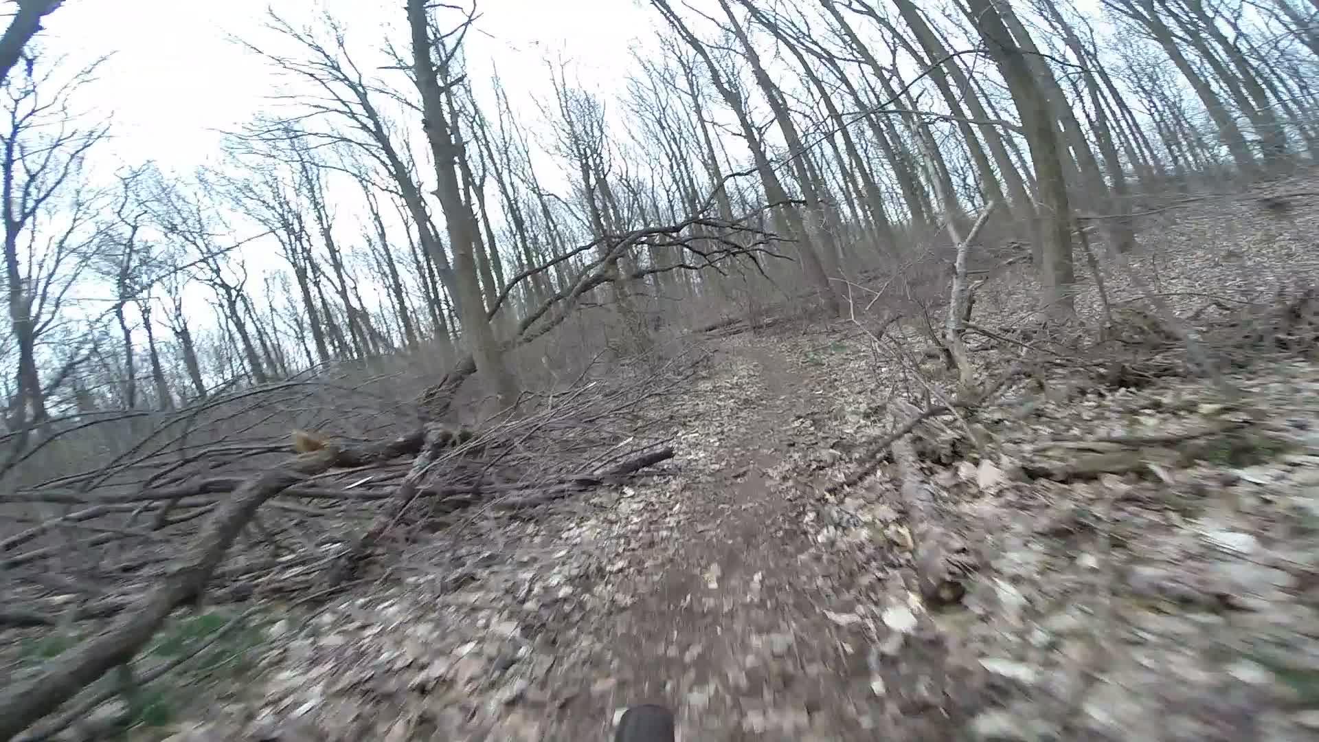A winding dirt path through a wooded area, surrounded by bare trees and scattered branches. The ground is covered with leaves and debris, suggesting an early spring or late autumn setting. The image appears to be taken from a low angle, possibly while biking or walking, creating a sense of movement along the trail. Trails seperated by streets mountain bike trail.