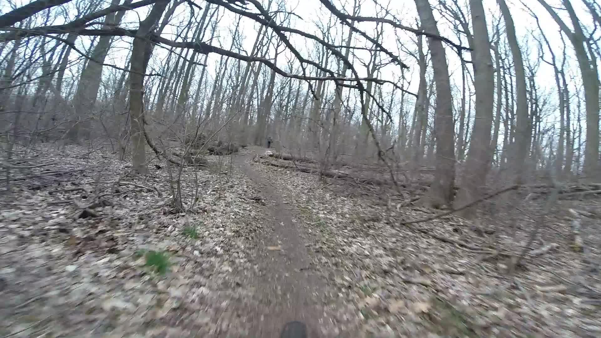 A narrow dirt trail winding through a sparse, leaf-covered forest with bare trees and fallen branches. The scene is slightly blurred, indicating motion, and a hint of greenery can be seen on the forest floor. Trails seperated by streets mountain bike trail.