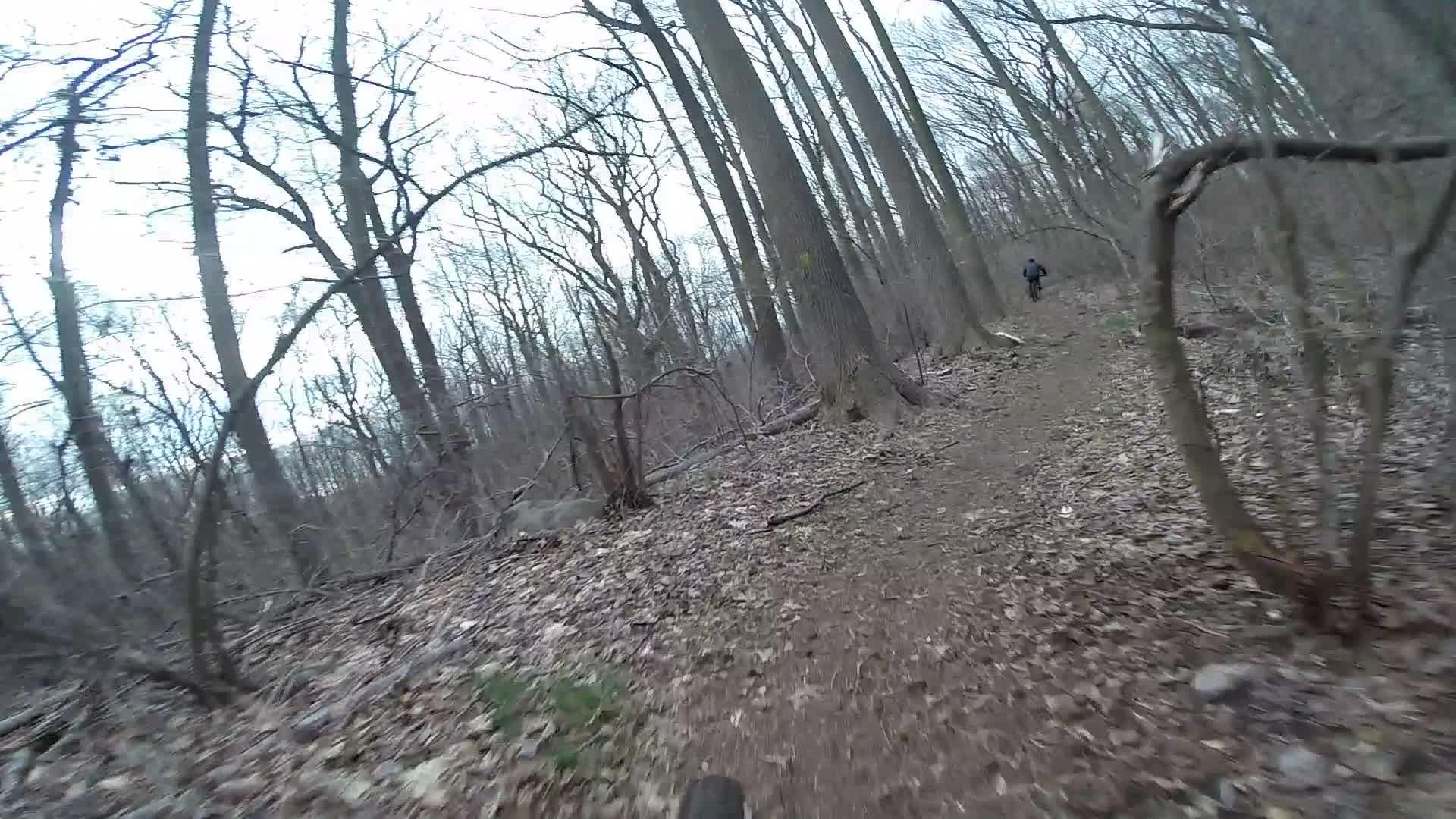 A dirt trail winding through a forest with tall, bare trees and scattered fallen leaves. In the distance, a person biking along the path can be seen. The scene appears to be during a cool day, with overcast skies. Trails seperated by streets mountain bike trail.