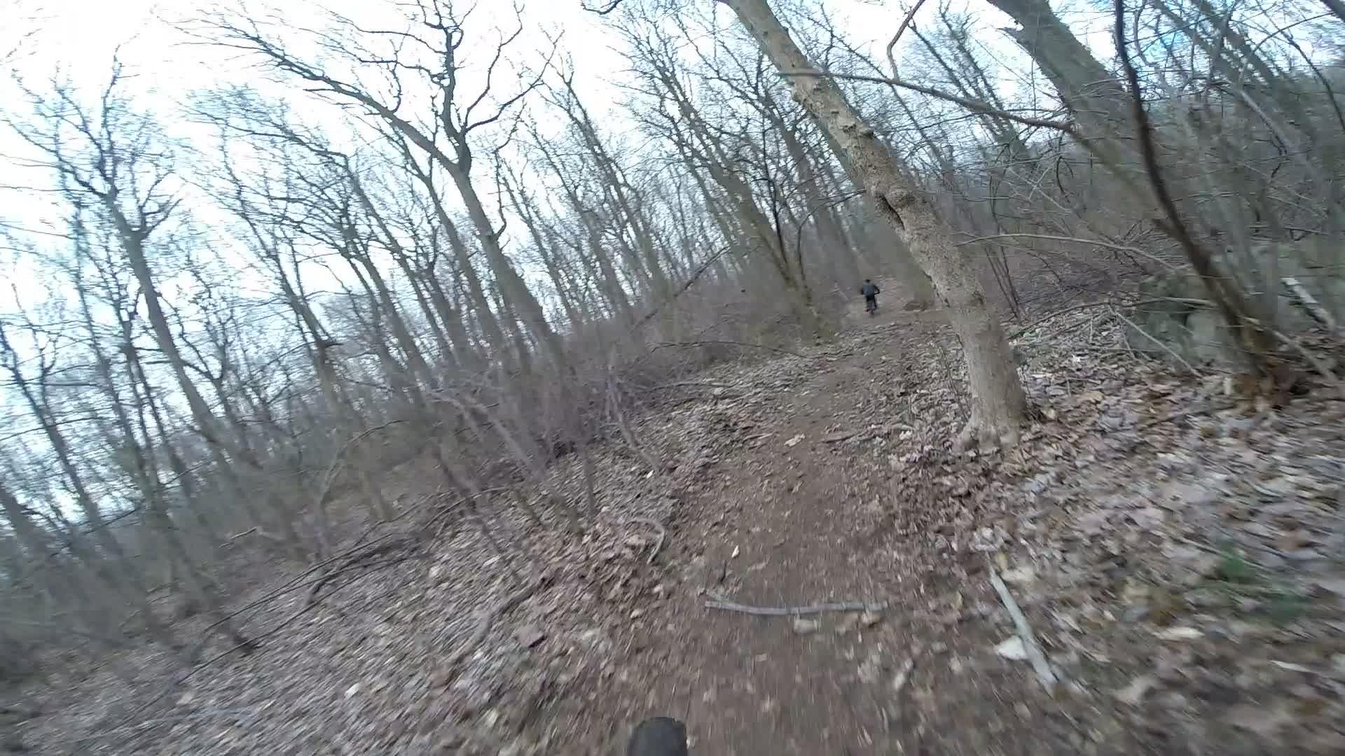 A mountain biker rides along a narrow dirt trail in a wooded area during early spring. The surroundings are filled with bare trees and scattered leaves on the ground, creating a serene, natural atmosphere. Trails seperated by streets mountain bike trail.