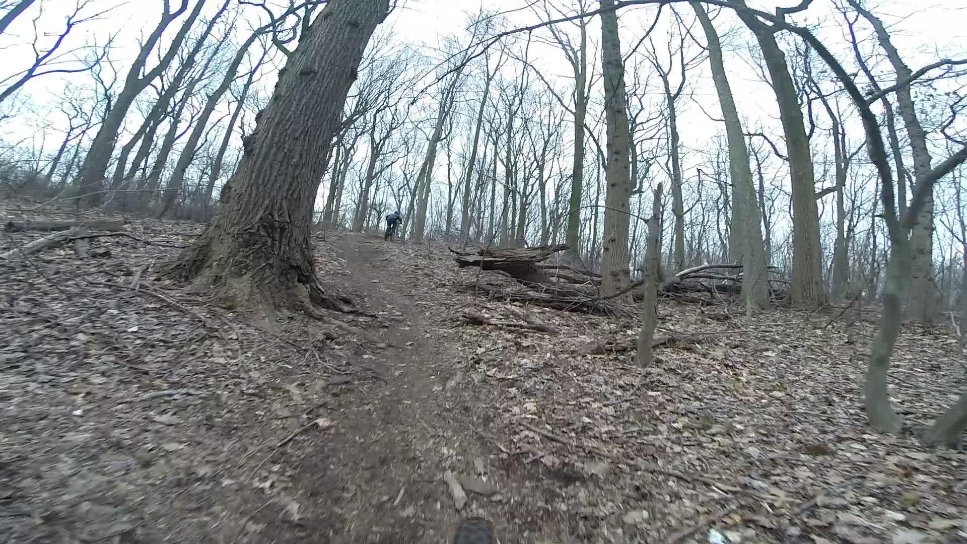 A narrow dirt trail winding through a wooded area with bare trees, scattered leaves on the ground, and fallen branches. In the distance, a person can be seen biking uphill. The scene is set in a cool, overcast environment, suggesting early spring or late fall. Trails seperated by streets mountain bike trail.