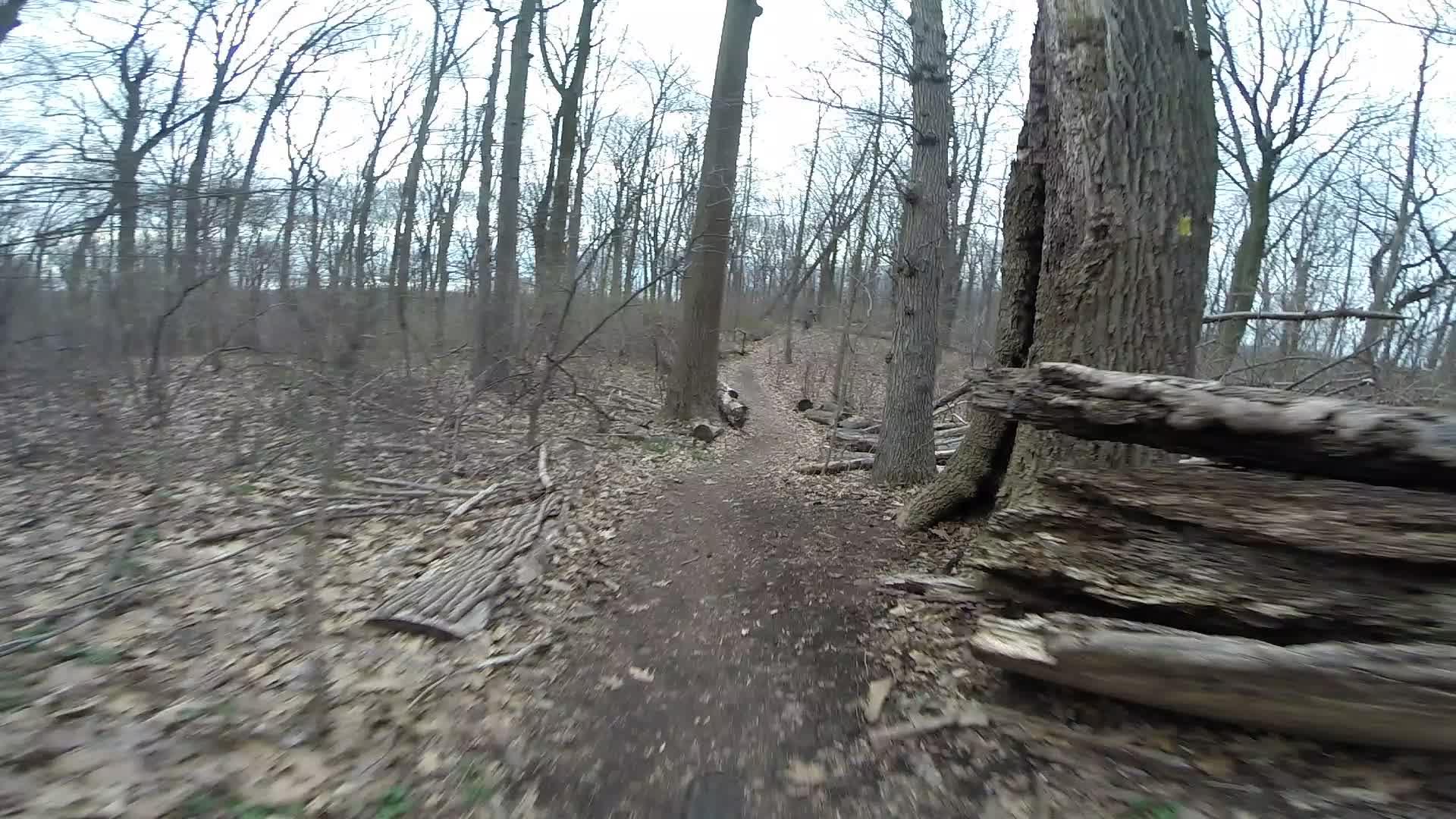 A narrow dirt path winds through a forest of bare trees, with fallen branches and leaves scattered along the ground. The scene is set in a tranquil, overcast environment, suggesting early spring or late fall. Trails seperated by streets mountain bike trail.