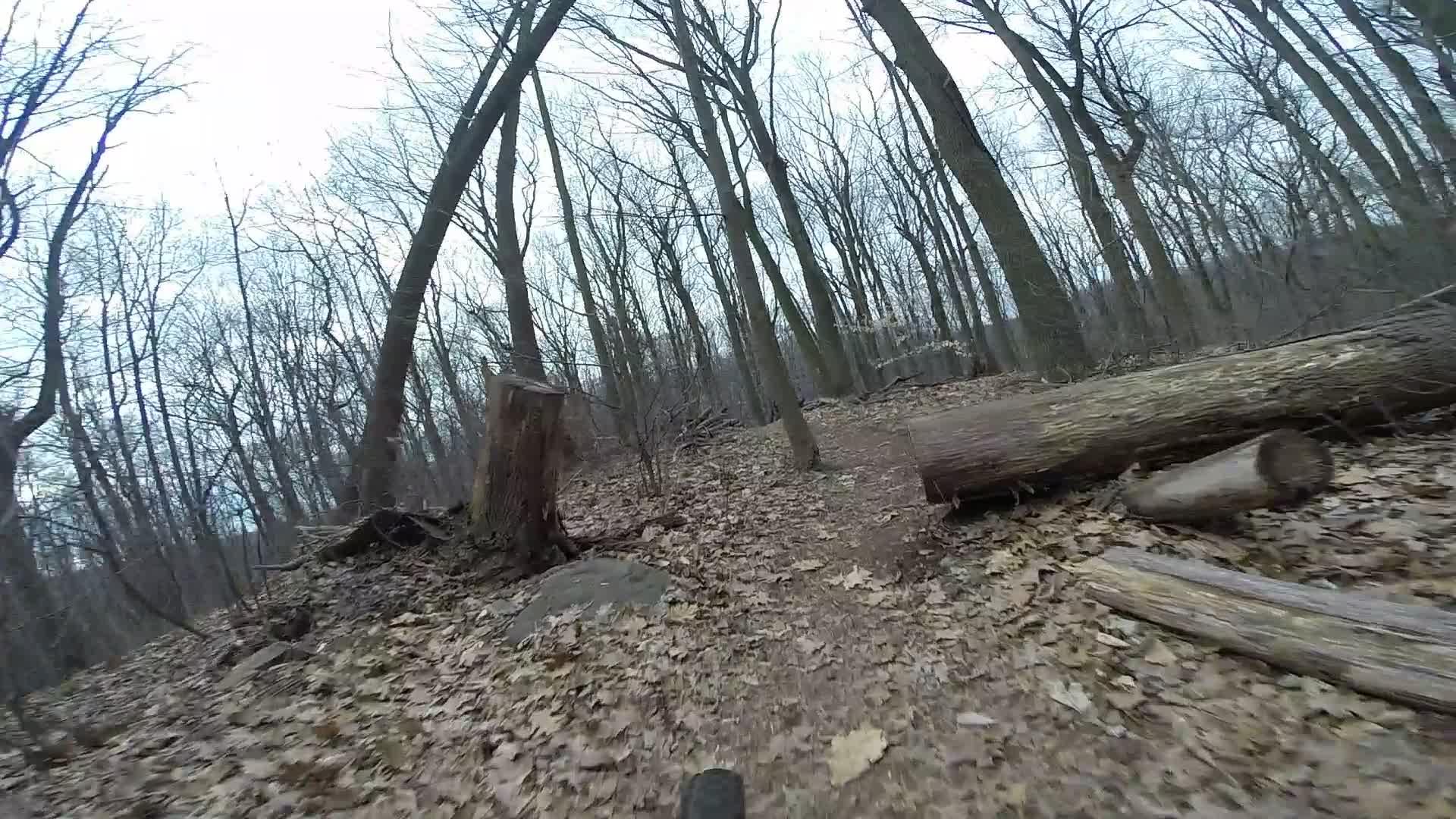 A wooded trail covered in fallen leaves, with bare trees and logs scattered along the path. The photo captures a serene, natural atmosphere, showcasing the tranquility of a forested area in early spring or late fall. Trails seperated by streets mountain bike trail.