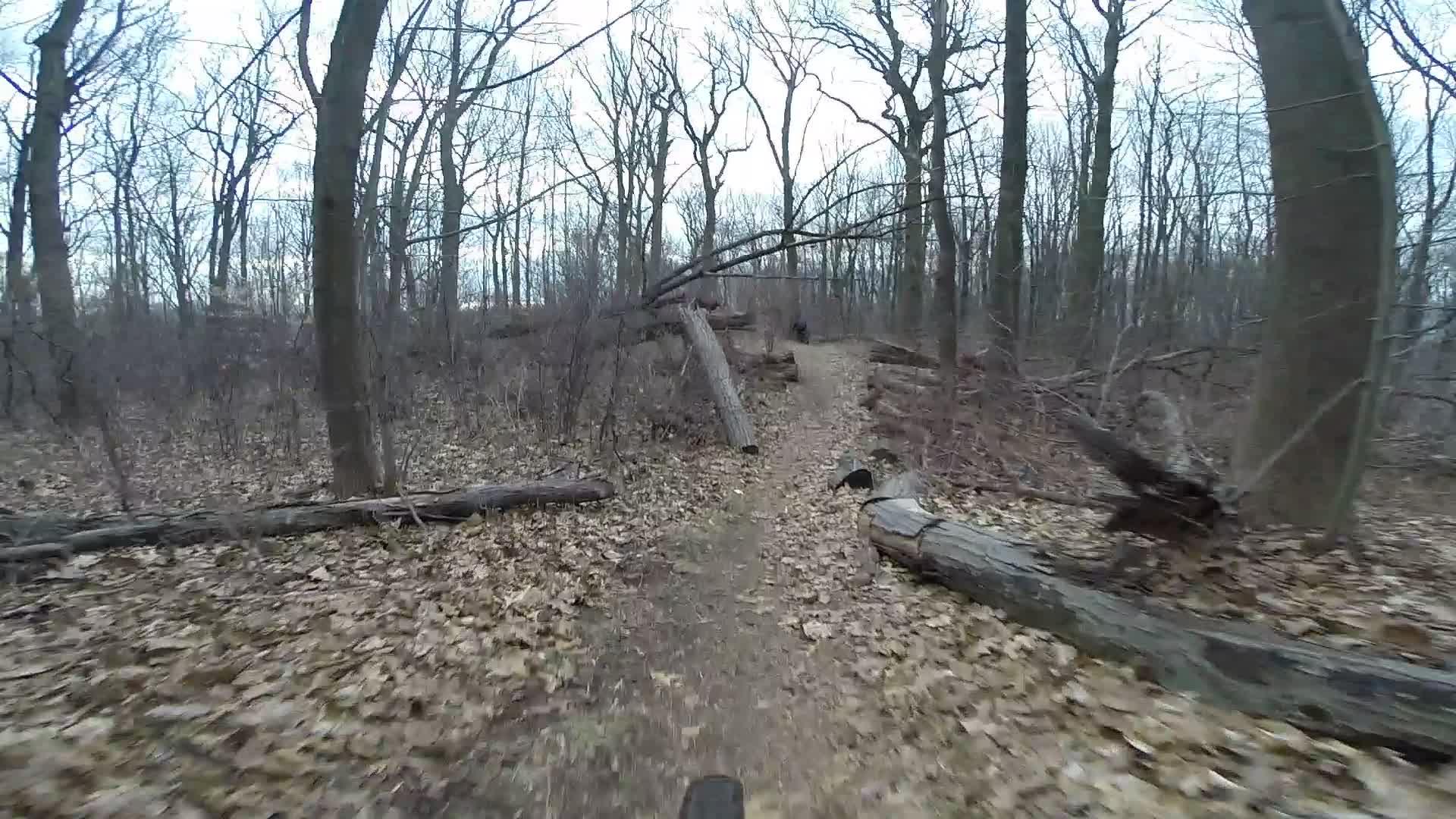 A narrow dirt path winding through a forest, lined with fallen logs and leafless trees, creating a natural, rugged landscape. Trails seperated by streets mountain bike trail.