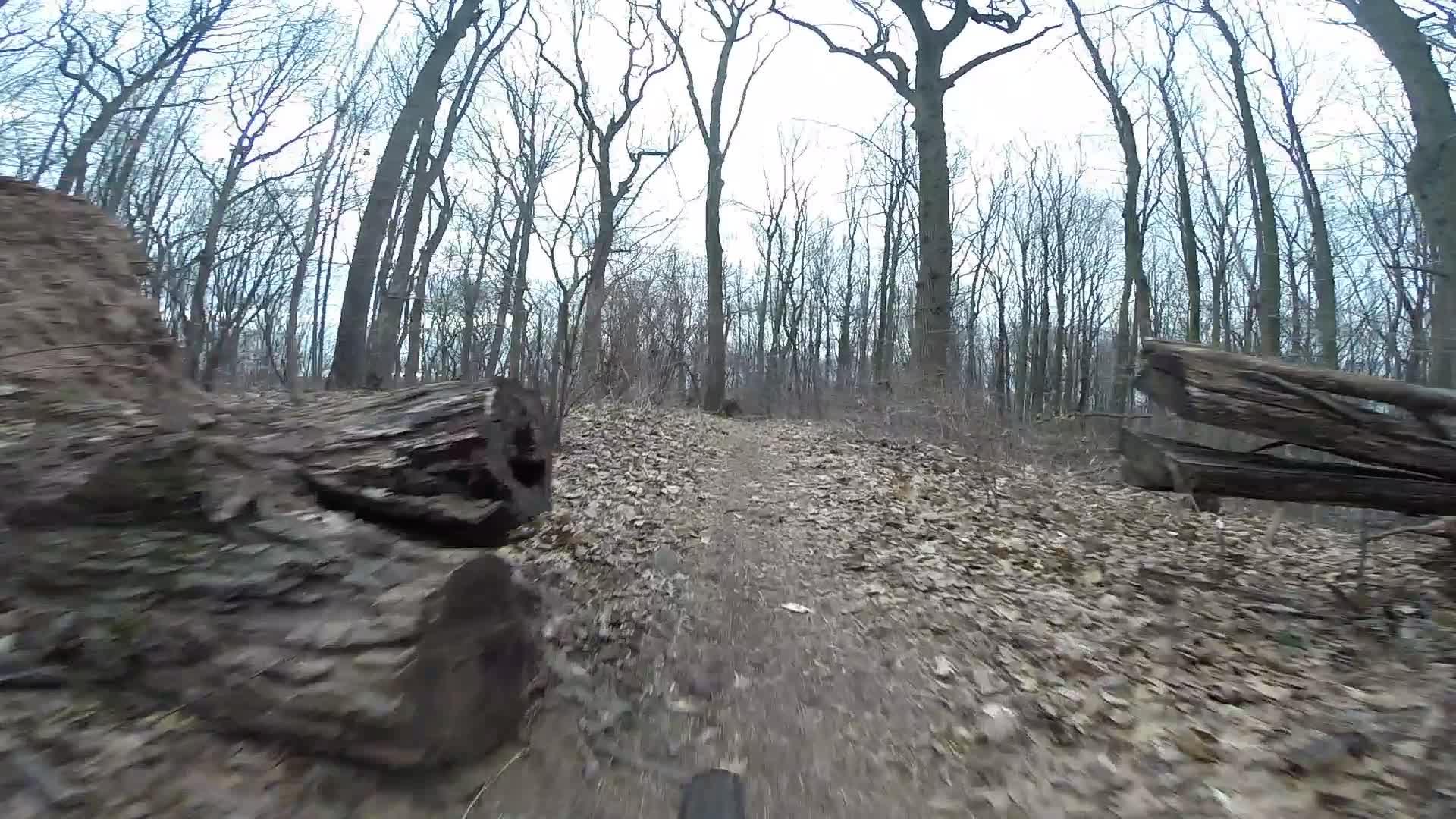 A narrow dirt path winding through a forest in winter, surrounded by bare trees and scattered leaves, with fallen logs on either side. Trails seperated by streets mountain bike trail.