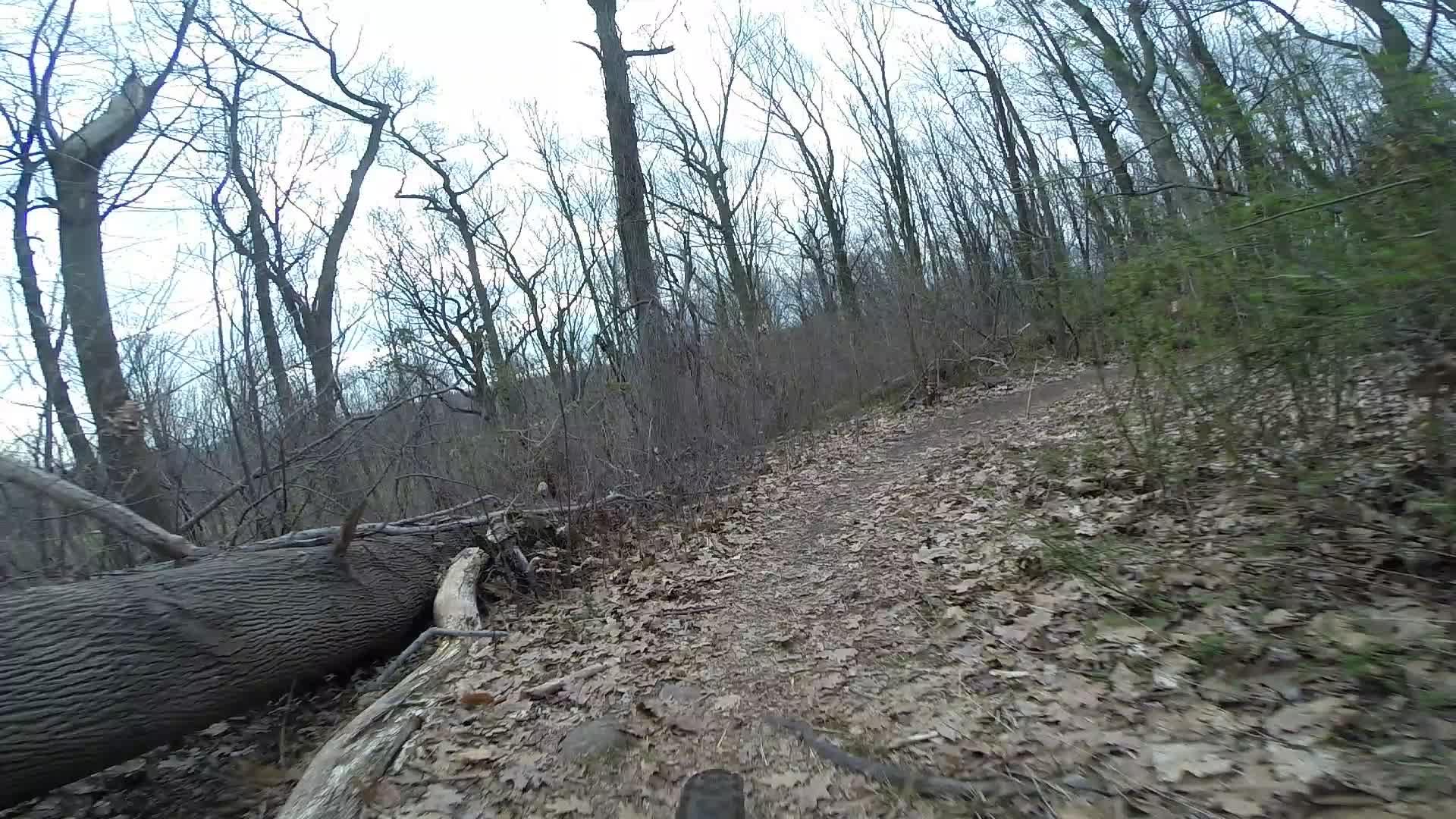 A dirt trail winding through a wooded area with leaf-covered ground, alongside fallen tree trunks and sparse tree branches, under a cloudy sky. Trails seperated by streets mountain bike trail.