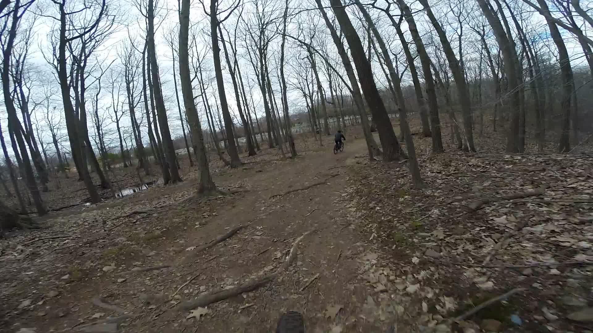 A dirt trail winding through a deciduous forest with bare trees, covered in brown leaves. A person riding a bicycle is seen in the distance, navigating the trail. The sky is overcast, creating a moody atmosphere. Trails seperated by streets mountain bike trail.