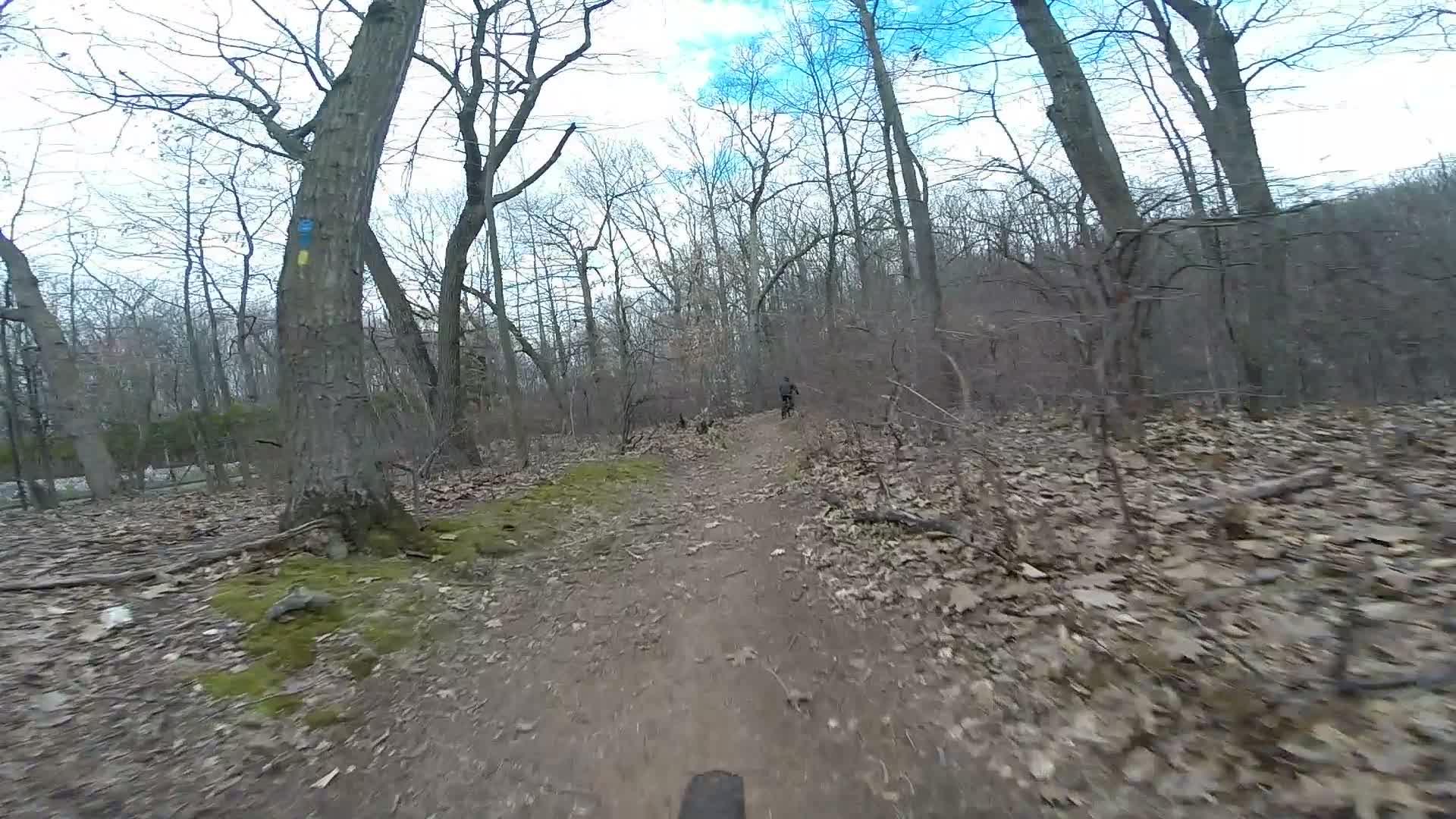 A dirt trail winding through a wooded area, lined with bare trees and scattered fallen leaves. A cyclist can be seen in the distance, riding along the path. The sky is partially cloudy, with hints of blue peeking through. Trails seperated by streets mountain bike trail.