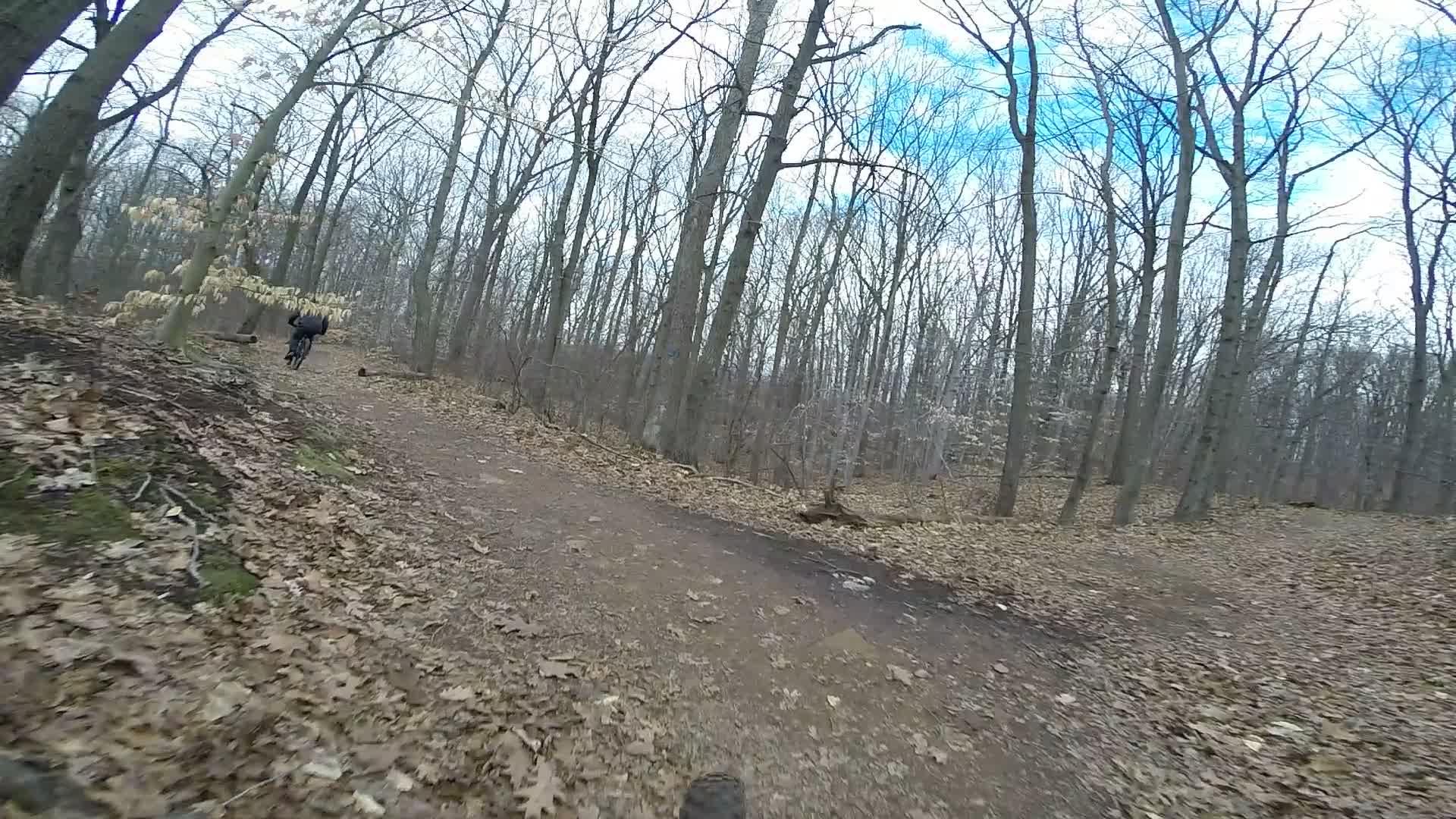 A forest trail in early spring, covered with brown leaves. A cyclist is riding along the path, surrounded by trees with bare branches and a hint of blue sky visible in the background. Trails seperated by streets mountain bike trail.