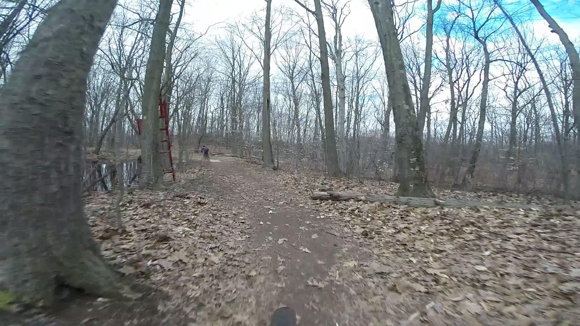 A winding dirt trail through a deciduous forest, featuring bare trees and scattered leaves on the ground. A red ladder stands against a tree in the background, and a person riding a bike can be seen in the distance. The sky is partly cloudy, giving the scene a cool, overcast appearance. Trails seperated by streets mountain bike trail.