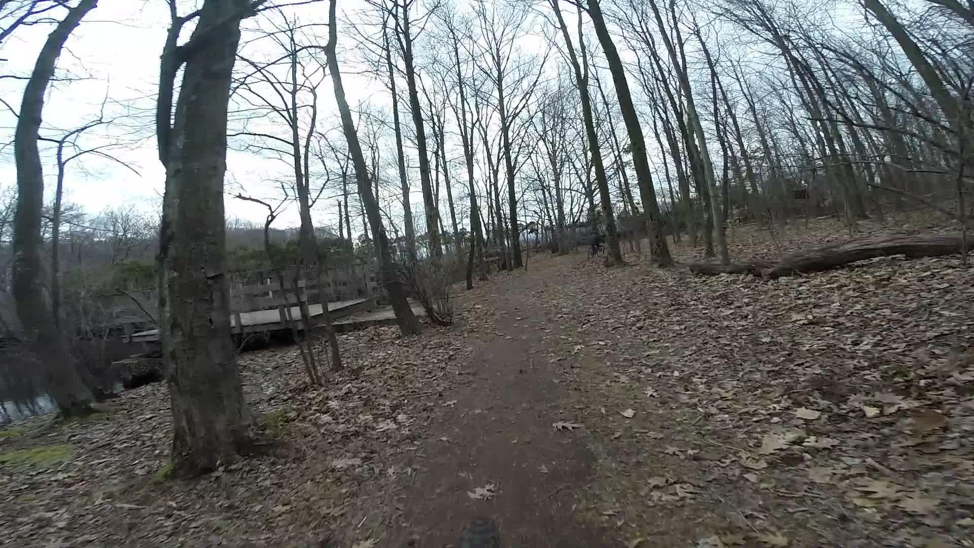 A narrow dirt path through a wooded area with bare trees, scattered fallen leaves, and a wooden bridge visible in the background. The scene is set on an overcast day, creating a serene, natural environment. Richmond Avenue and Forest Hill road mountain bike trail.