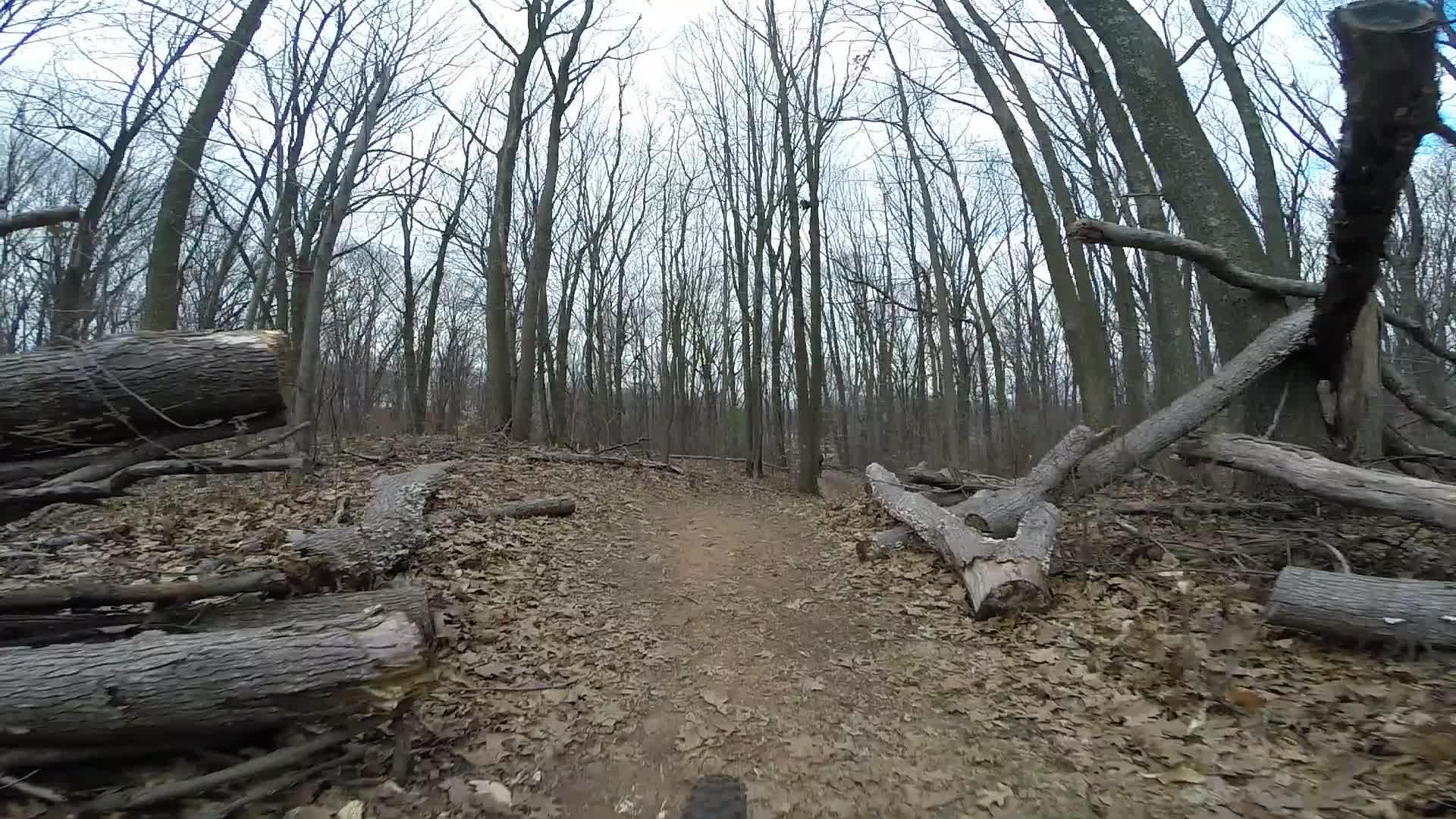 A narrow dirt path winding through a leaf-strewn forest, surrounded by bare trees. Fallen logs are scattered along the trail, and the sky is overcast, creating a tranquil and natural atmosphere. Richmond Avenue and Forest Hill road mountain bike trail.