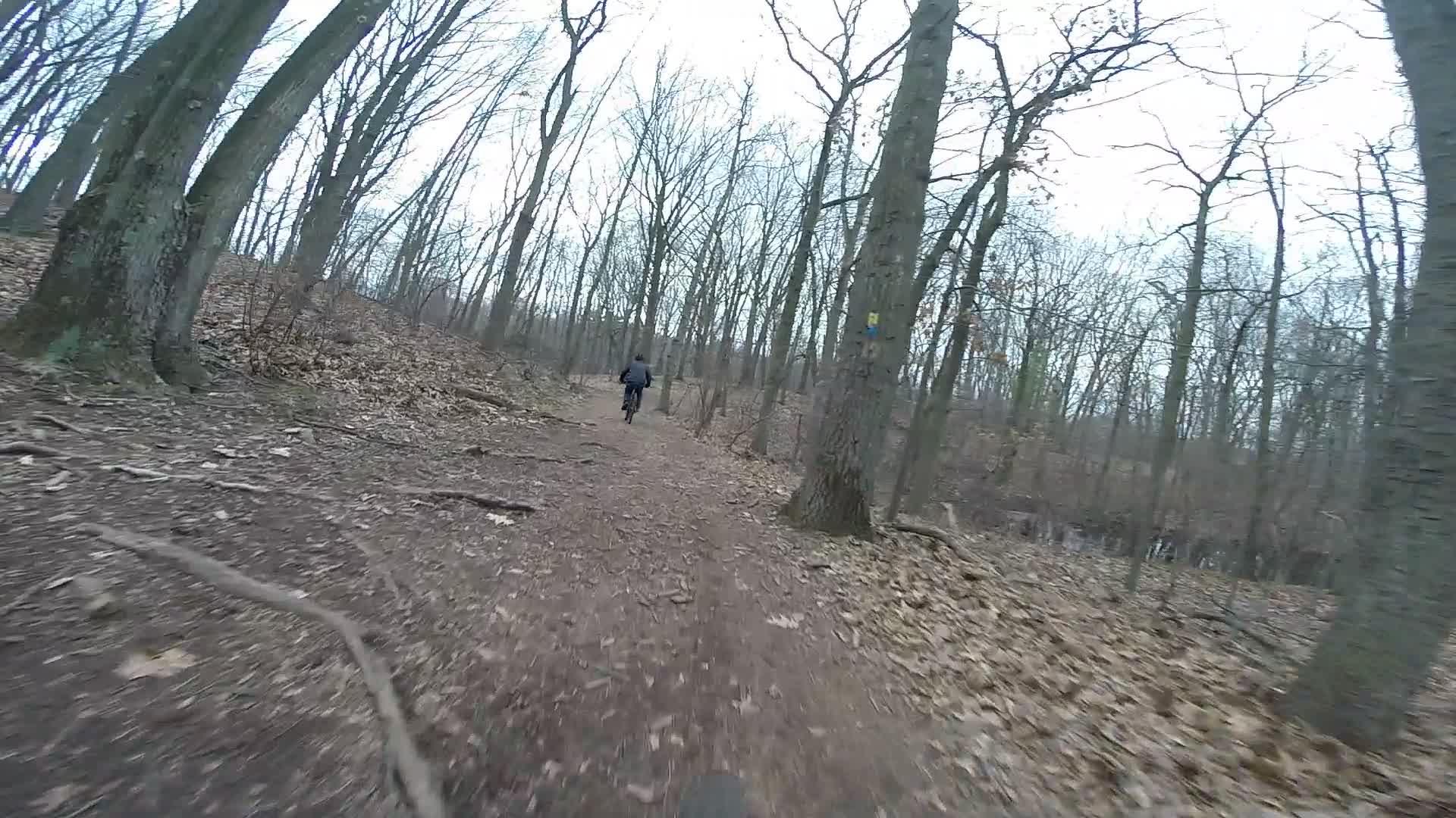 A cyclist rides along a dirt path in a forested area, with bare trees on either side and fallen leaves covering the ground. The scene captures the tranquility of nature on a cool day. Richmond Avenue and Forest Hill road mountain bike trail.