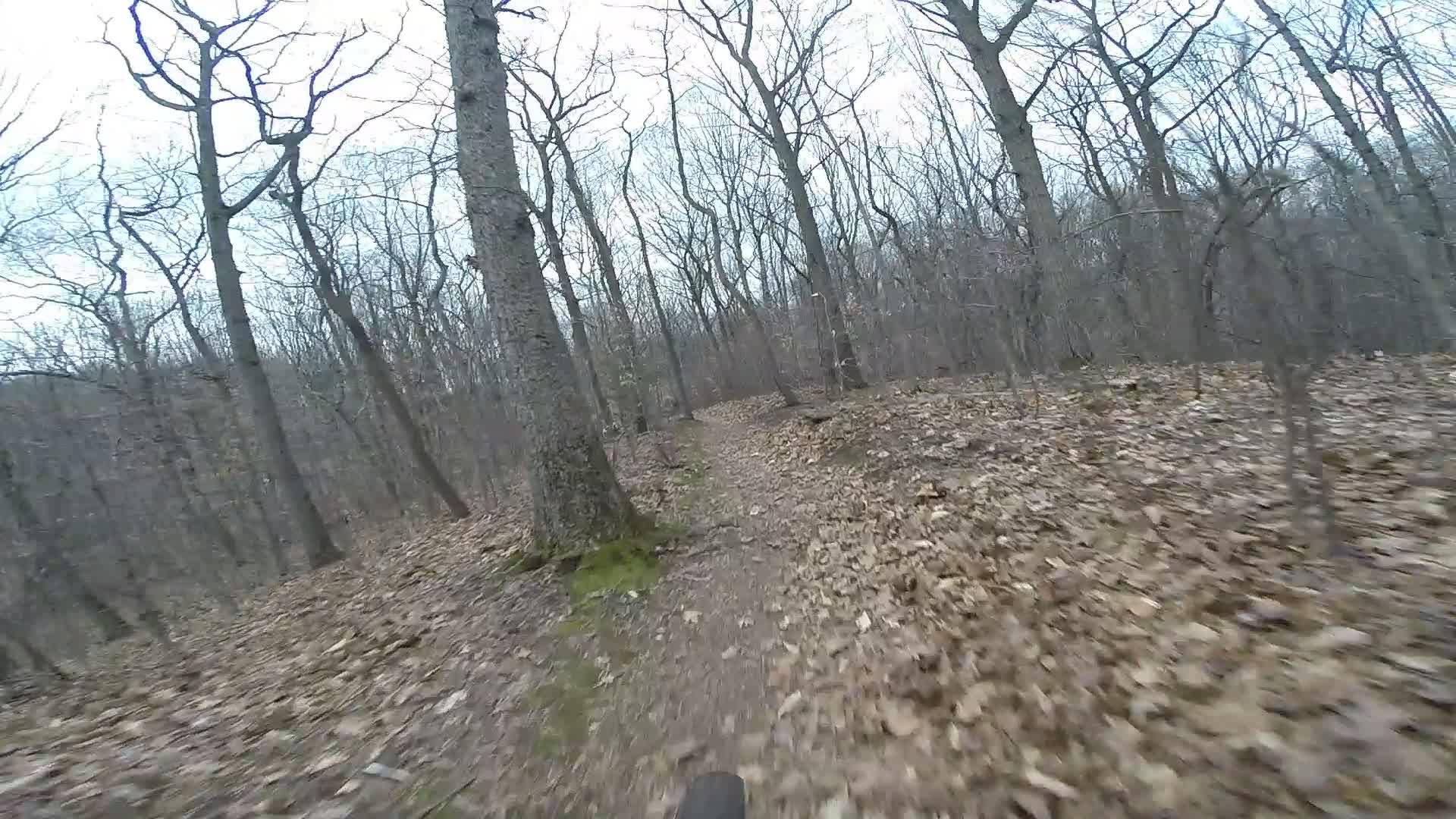 A dirt trail winding through a wooded area, with bare trees and a layer of fallen leaves on the ground. The scene is captured from a low angle, suggesting movement along the path. The atmosphere is calm and natural, indicative of an outdoor adventure in the forest. Richmond Avenue and Forest Hill road mountain bike trail.