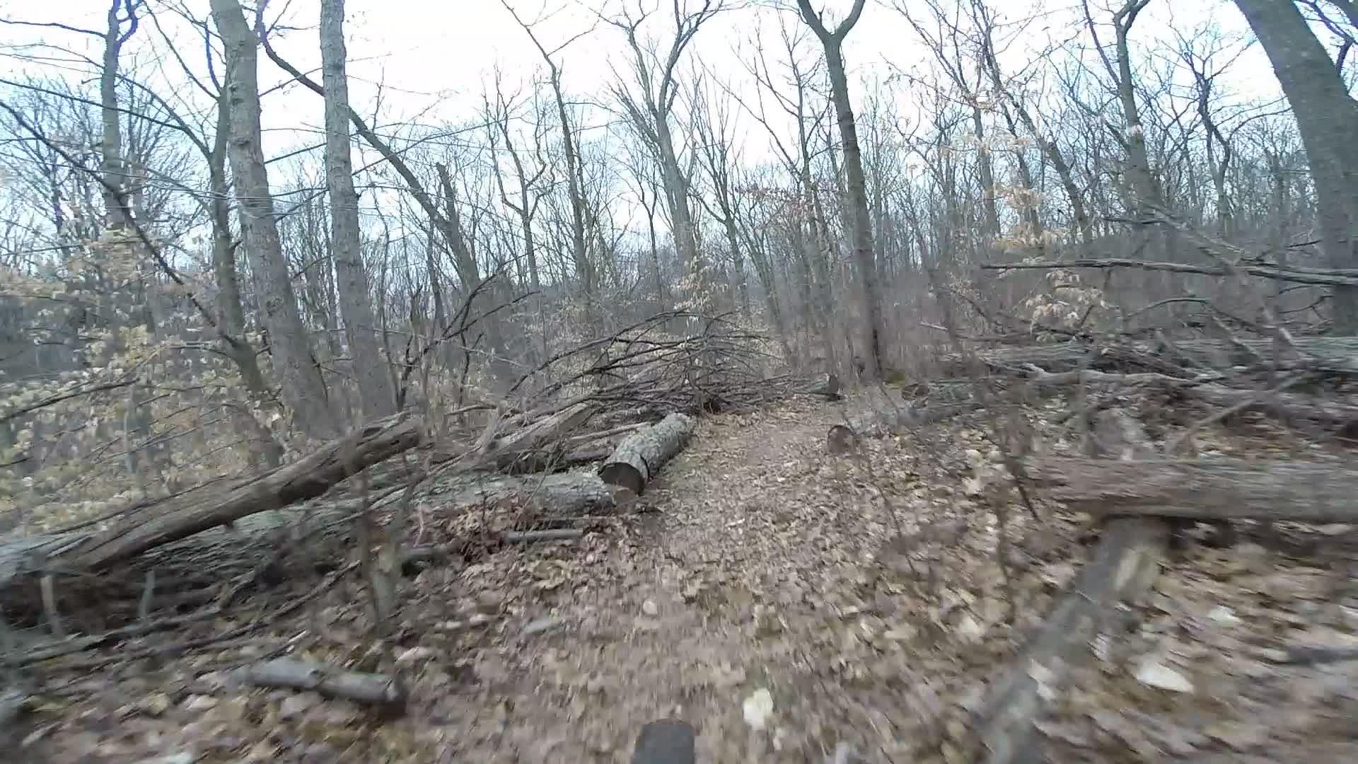 A narrow dirt path winding through a dense, leafless forest, with fallen logs and branches scattered along the trail. The landscape appears to be in late autumn or early winter, featuring a gray, overcast sky. Richmond Avenue and Forest Hill road mountain bike trail.