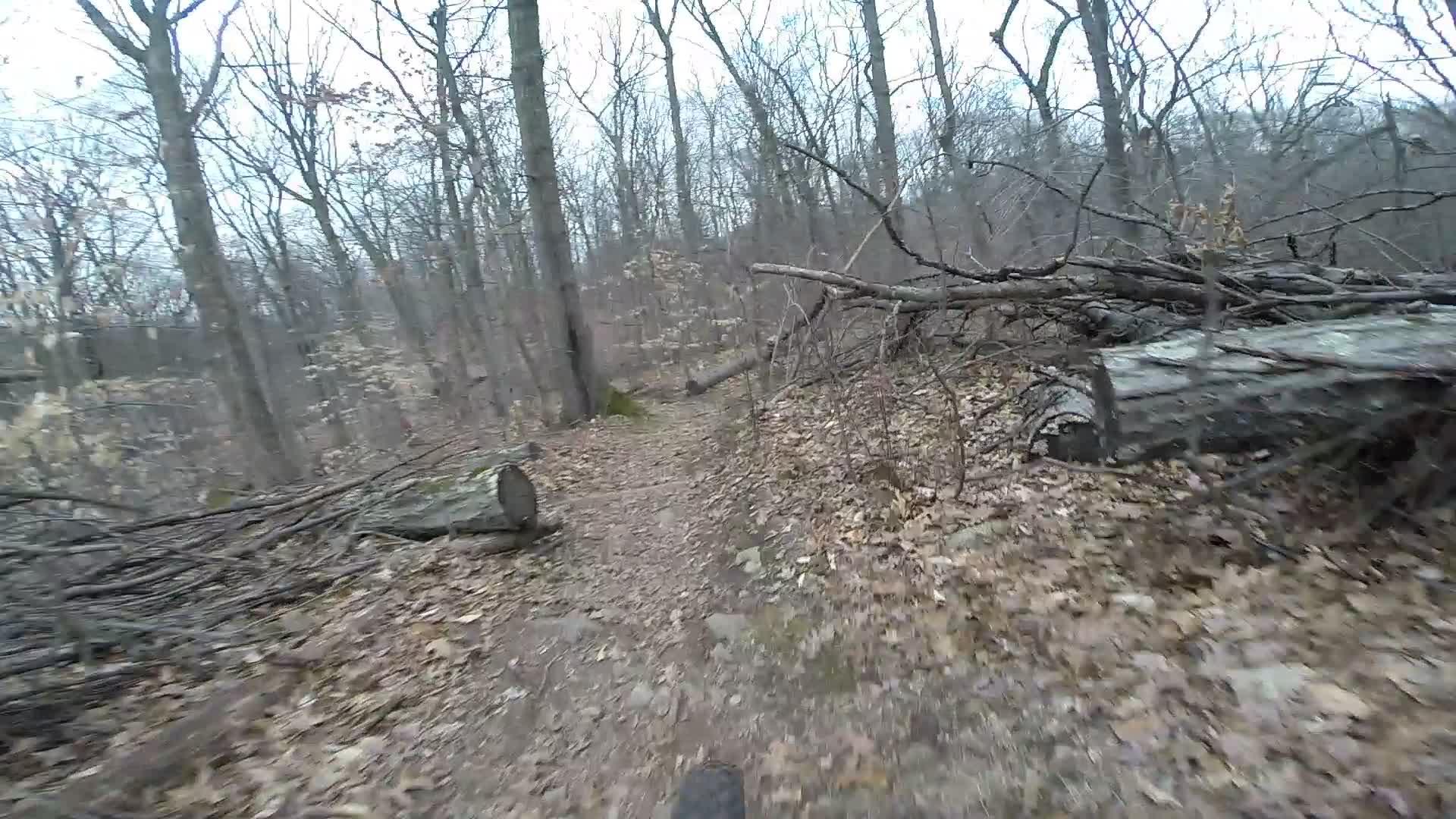A dirt trail winding through a wooded area, surrounded by bare trees and scattered fallen branches. The ground is covered with leaves, and the atmosphere appears overcast, suggesting a cool, early spring or late autumn day. Richmond Avenue and Forest Hill road mountain bike trail.