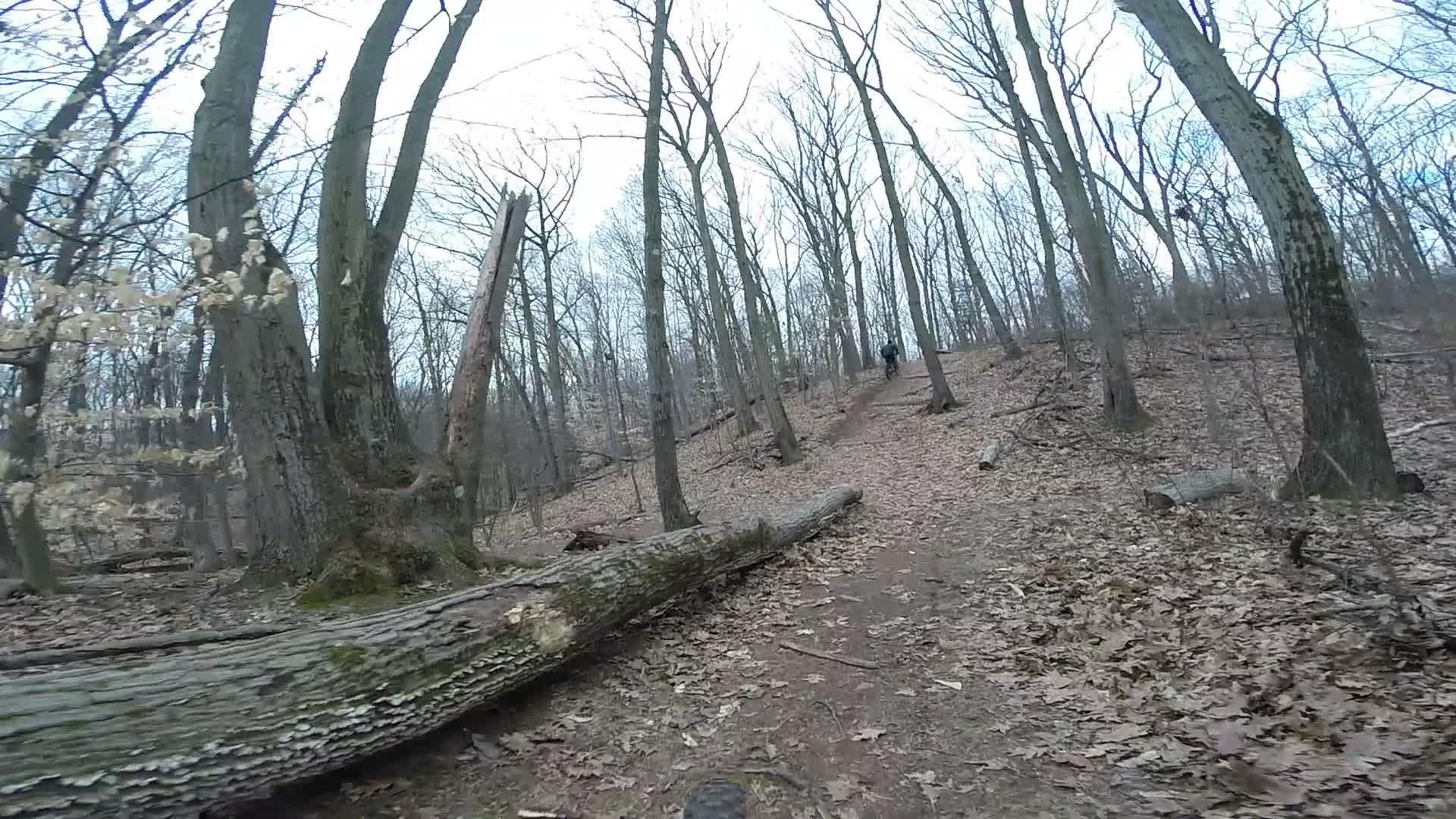 A dirt trail winding through a forest with bare trees and fallen logs. A single person can be seen walking up the path, surrounded by dry leaves on the ground and a tranquil, overcast sky. Richmond Avenue and Forest Hill road mountain bike trail.