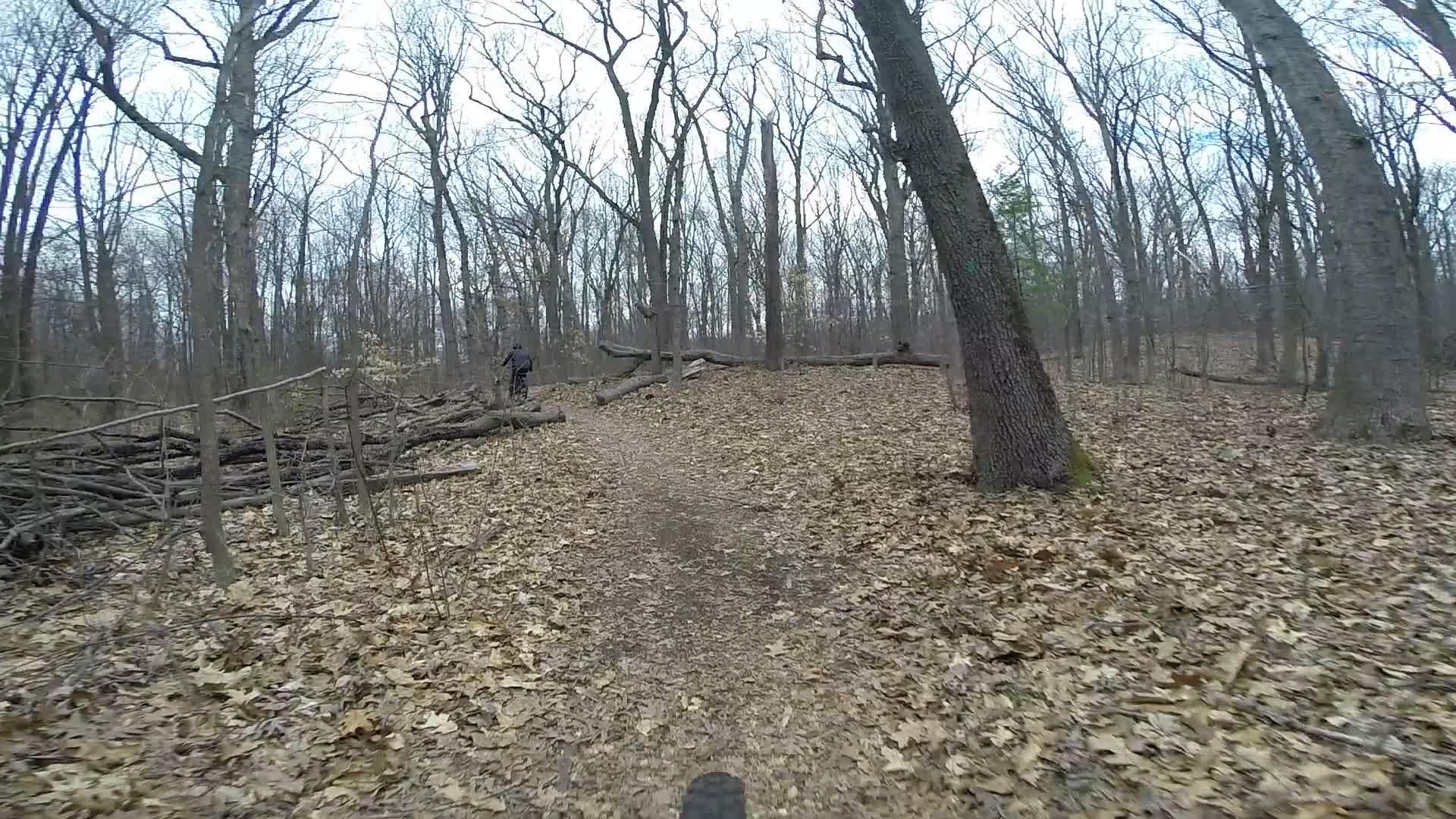 A dirt path winding through a wooded area with bare trees and fallen leaves on the ground; a person can be seen walking in the distance near a pile of logs. Richmond Avenue and Forest Hill road mountain bike trail.