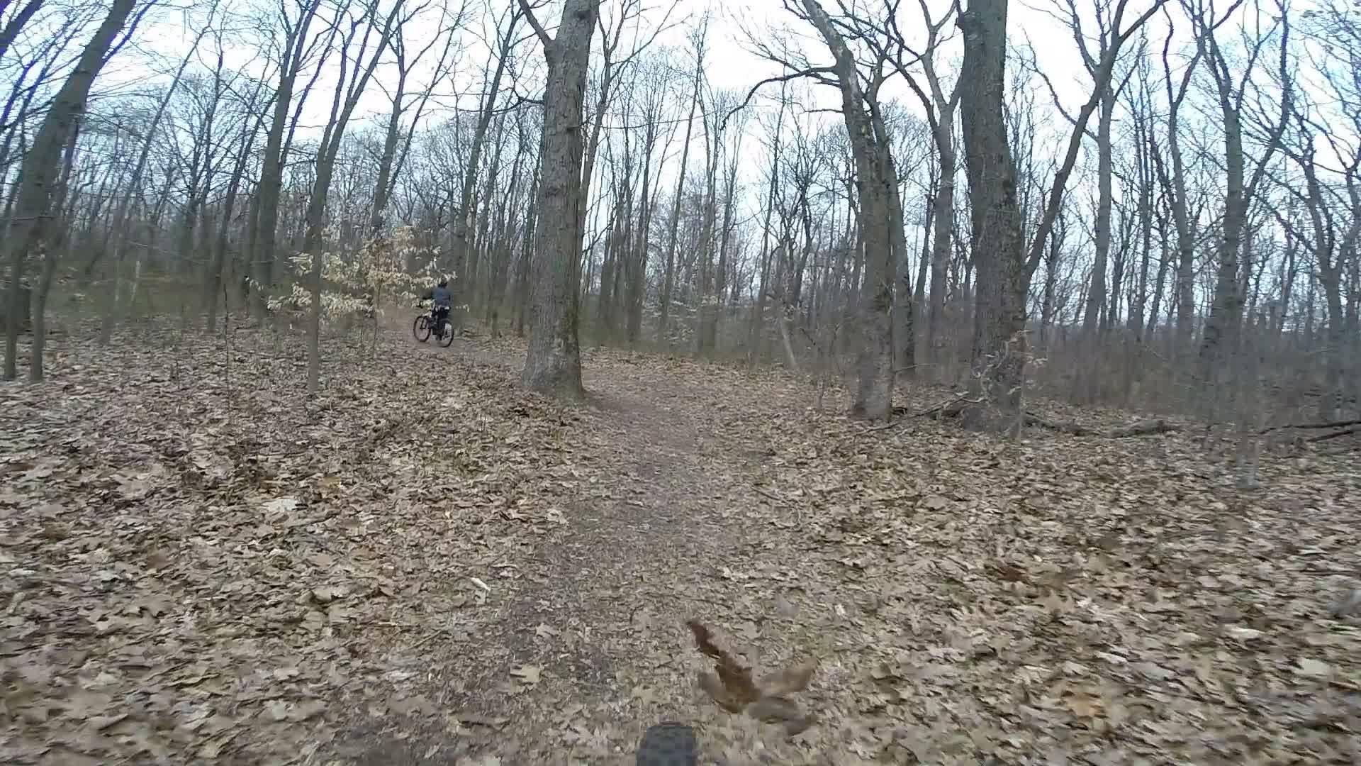 A mountain biker riding on a leaf-covered trail in a wooded area during early spring, with bare trees and a cloudy sky in the background. Richmond Avenue and Forest Hill road mountain bike trail.