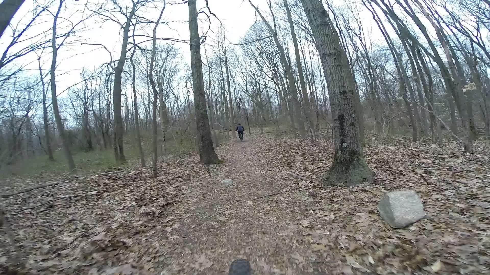A person riding a mountain bike down a wooded trail surrounded by tall, bare trees, with fallen leaves covering the ground. The scene captures a sense of adventure in a natural environment on a cloudy day. Richmond Avenue and Forest Hill road mountain bike trail.