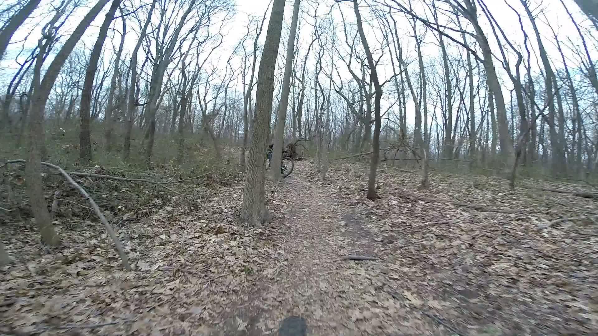 A cyclist navigating a narrow dirt trail through a wooded area, surrounded by bare trees and scattered autumn leaves on the ground. The scene is set in a tranquil environment, showcasing the beauty of nature in a wooded landscape. Richmond Avenue and Forest Hill road mountain bike trail.