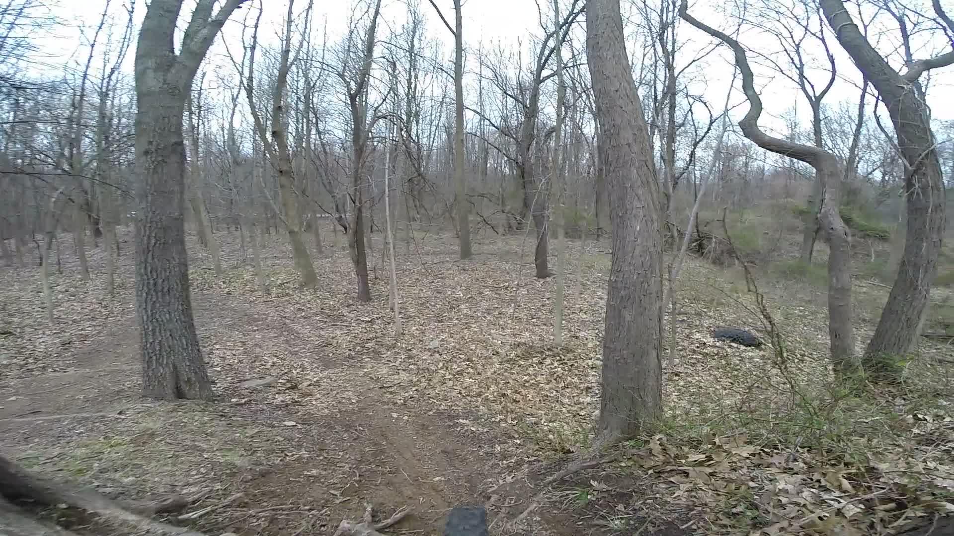 A wooded area with bare trees and fallen leaves covering the ground, featuring a winding dirt path through the forest. The scene is set in early spring or late winter, with a cloudy sky in the background. Richmond Avenue and Forest Hill road mountain bike trail.