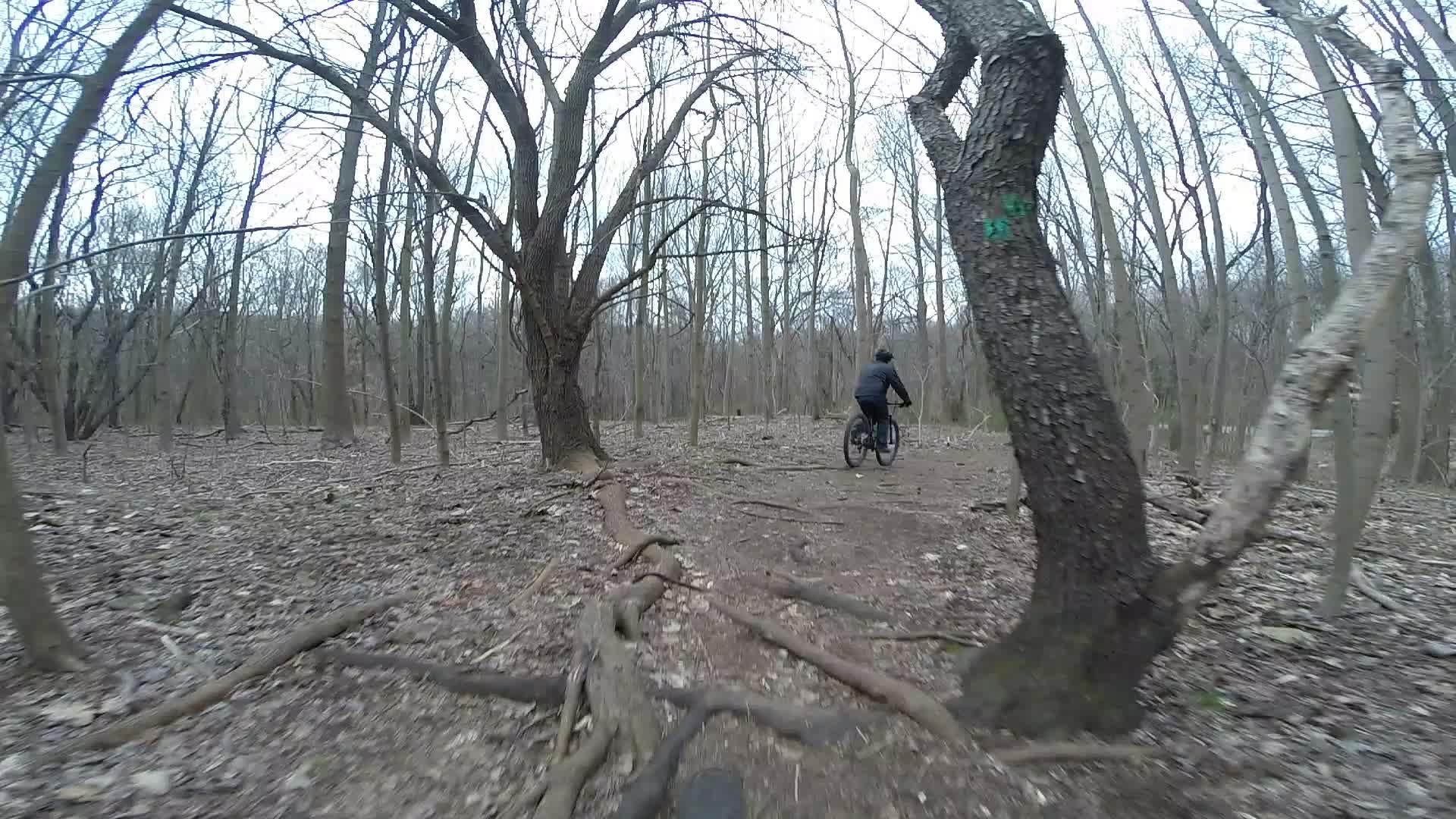 A person riding a mountain bike on a dirt trail surrounded by bare trees and fallen leaves in a forest during early spring. The scene is slightly overcast, creating a natural and serene atmosphere. Richmond Avenue and Forest Hill road mountain bike trail.