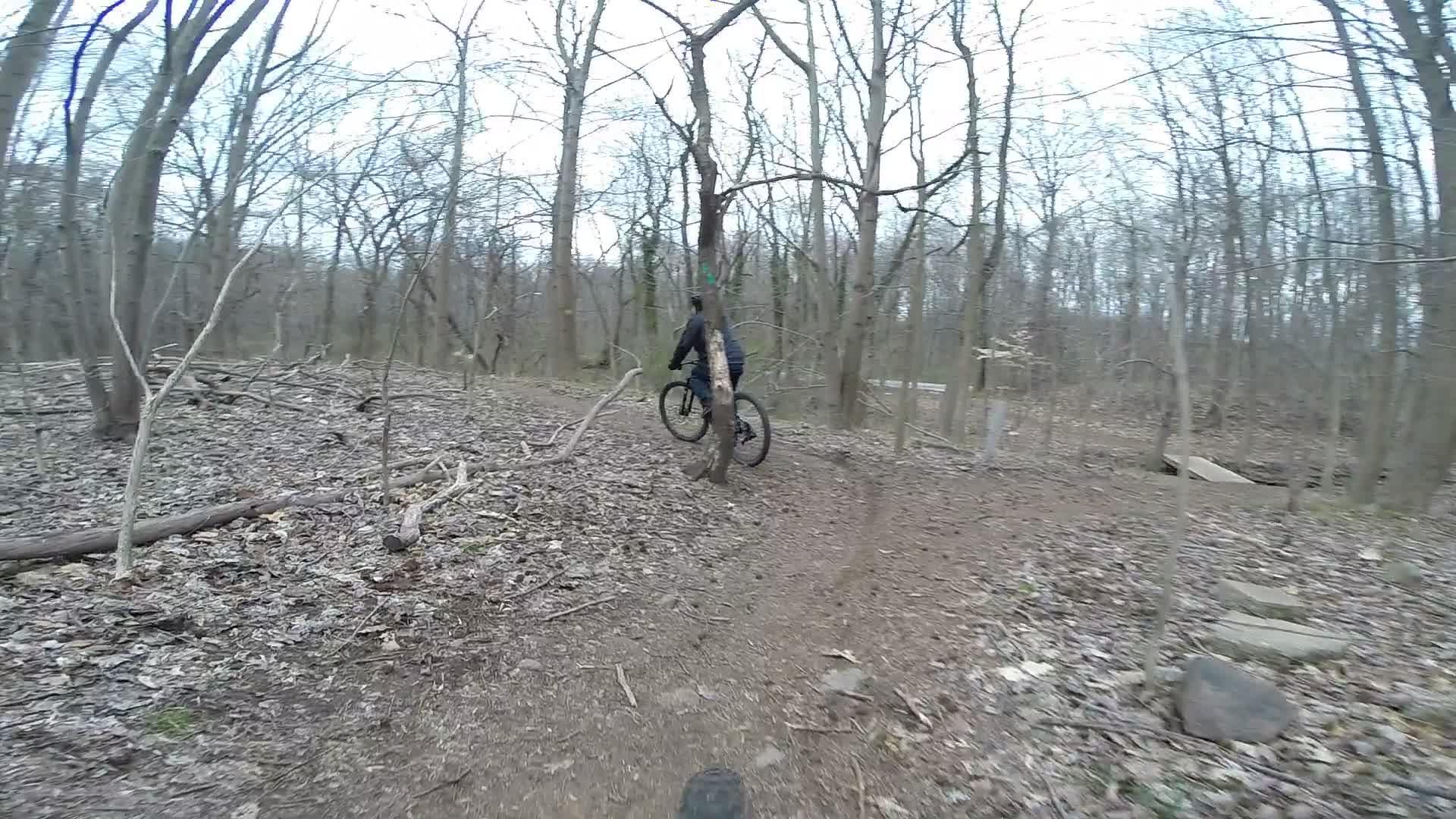 A mountain biker navigating a winding trail surrounded by bare trees and scattered leaves in a wooded area. Richmond Avenue and Forest Hill road mountain bike trail.
