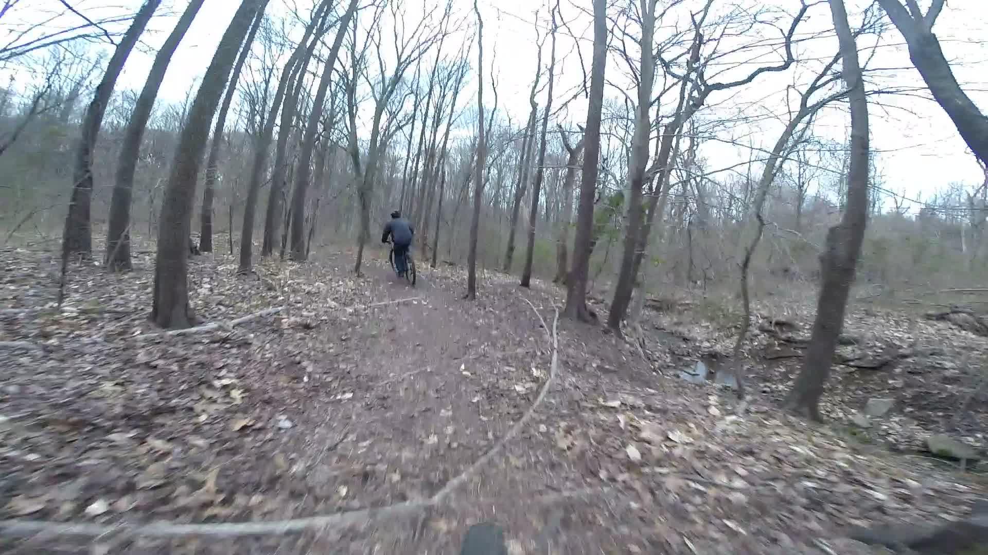 A person riding a bicycle along a dirt trail surrounded by bare trees and fallen leaves, with a cloudy sky overhead. Richmond Avenue and Forest Hill road mountain bike trail.