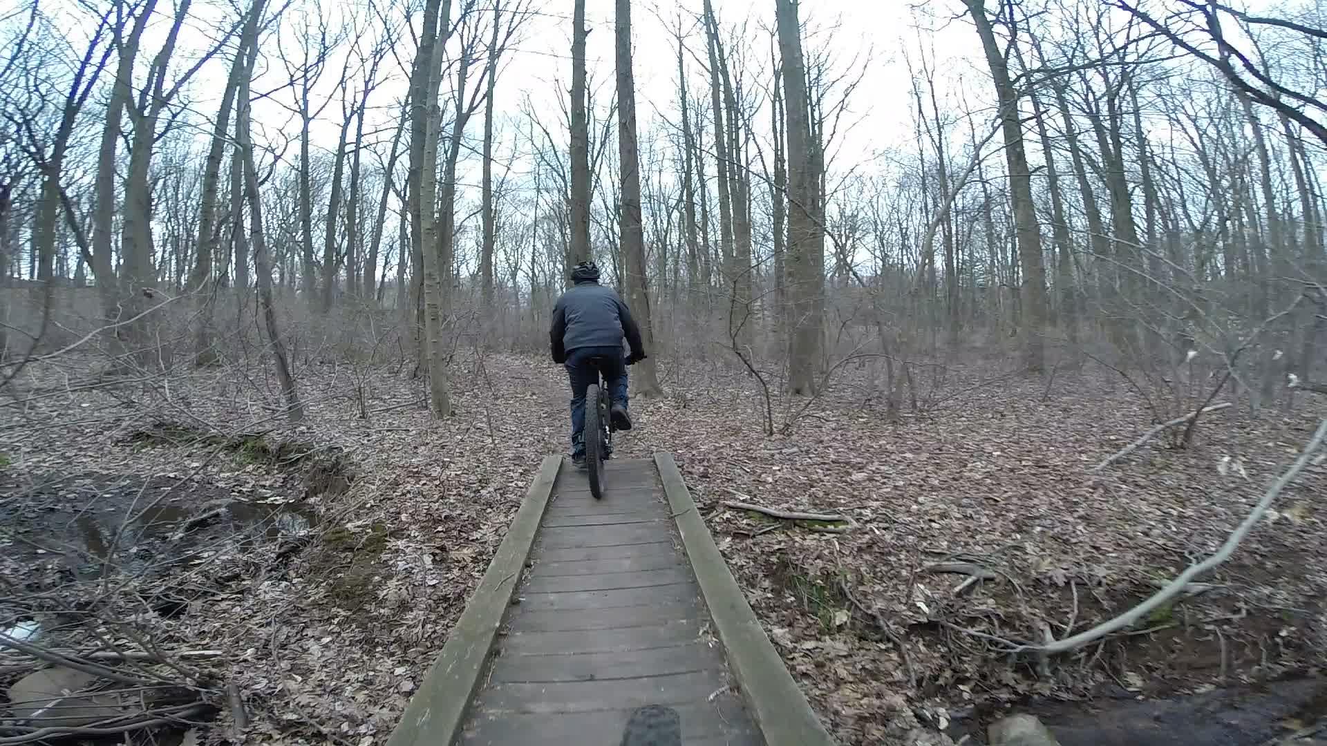 A cyclist riding a mountain bike on a wooden bridge surrounded by bare trees and leaf-covered ground in a wooded area. The scene depicts a tranquil outdoor setting during early spring or late fall. Richmond Avenue and Forest Hill road mountain bike trail.