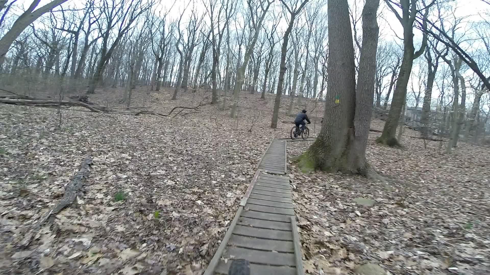A mountain biker riding on a narrow wooden bridge through a forest of bare trees and fallen leaves. The scene captures an outdoor trail in a wooded area, with the biker navigating the terrain. Richmond Avenue and Forest Hill road mountain bike trail.