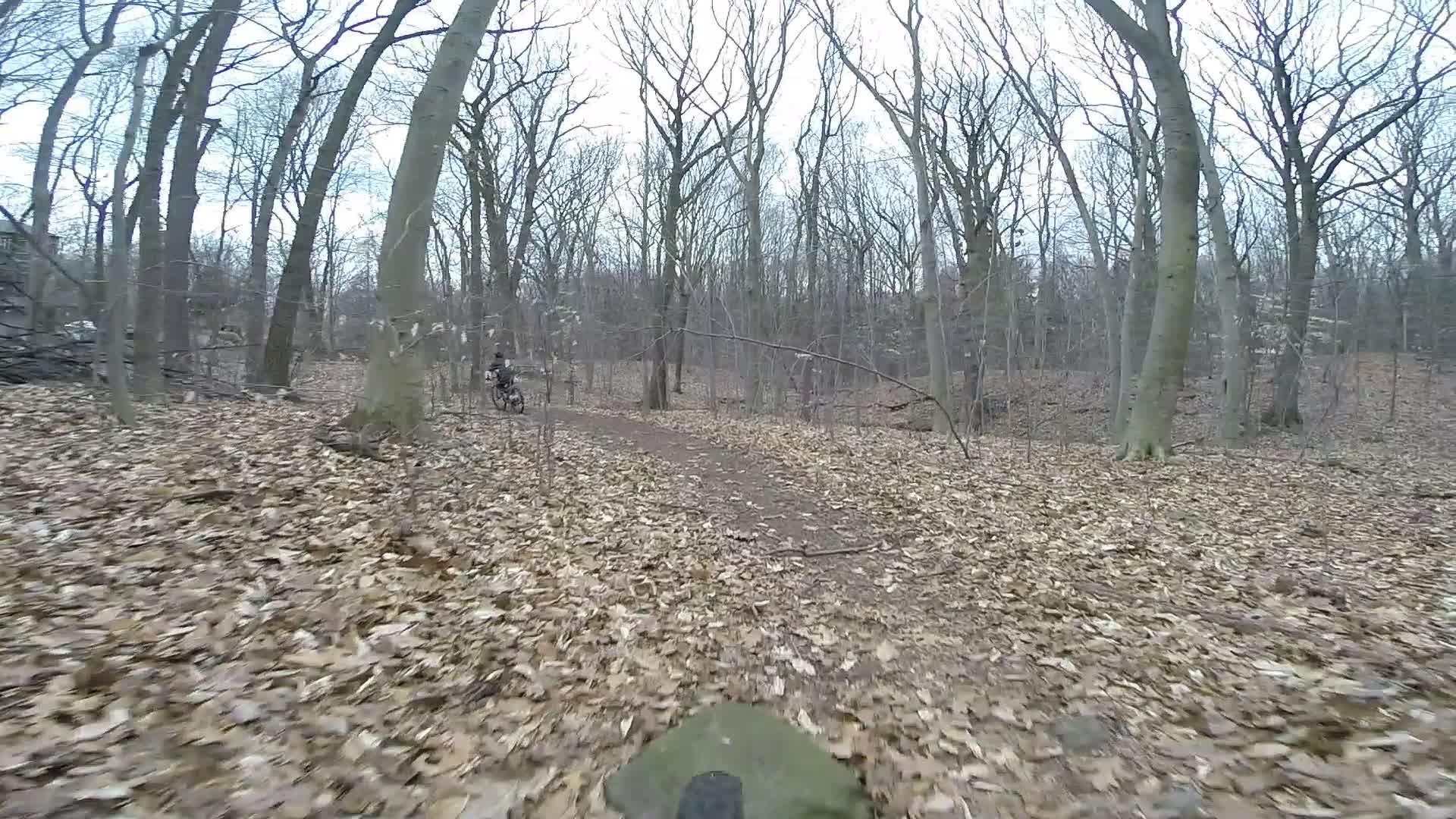 A view of a forest trail with bare trees and a ground covered in dry leaves. In the background, a person on a mountain bike can be seen riding along the path. The scene captures a cool, overcast day in a natural setting. Richmond Avenue and Forest Hill road mountain bike trail.