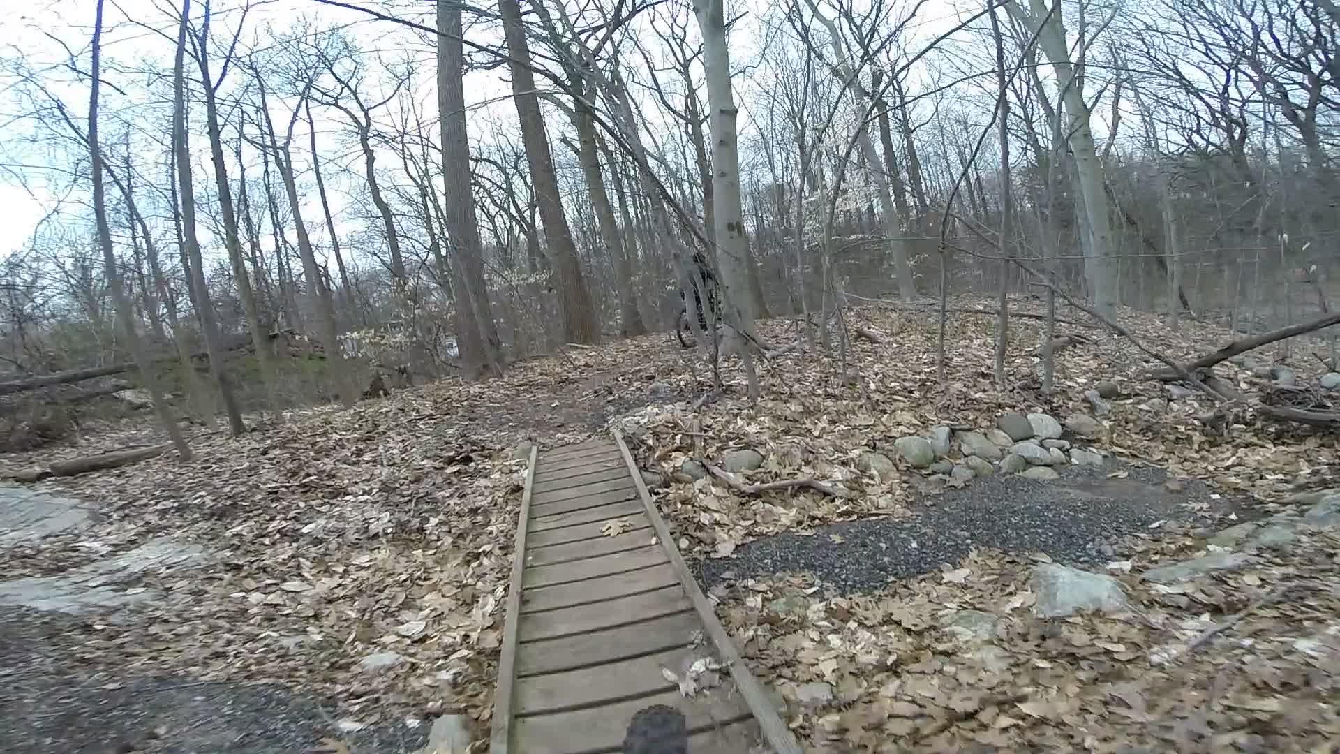 A narrow wooden bridge crossing a trail in a forested area, surrounded by trees with bare branches and a carpet of fallen leaves. Richmond Avenue and Forest Hill road mountain bike trail.