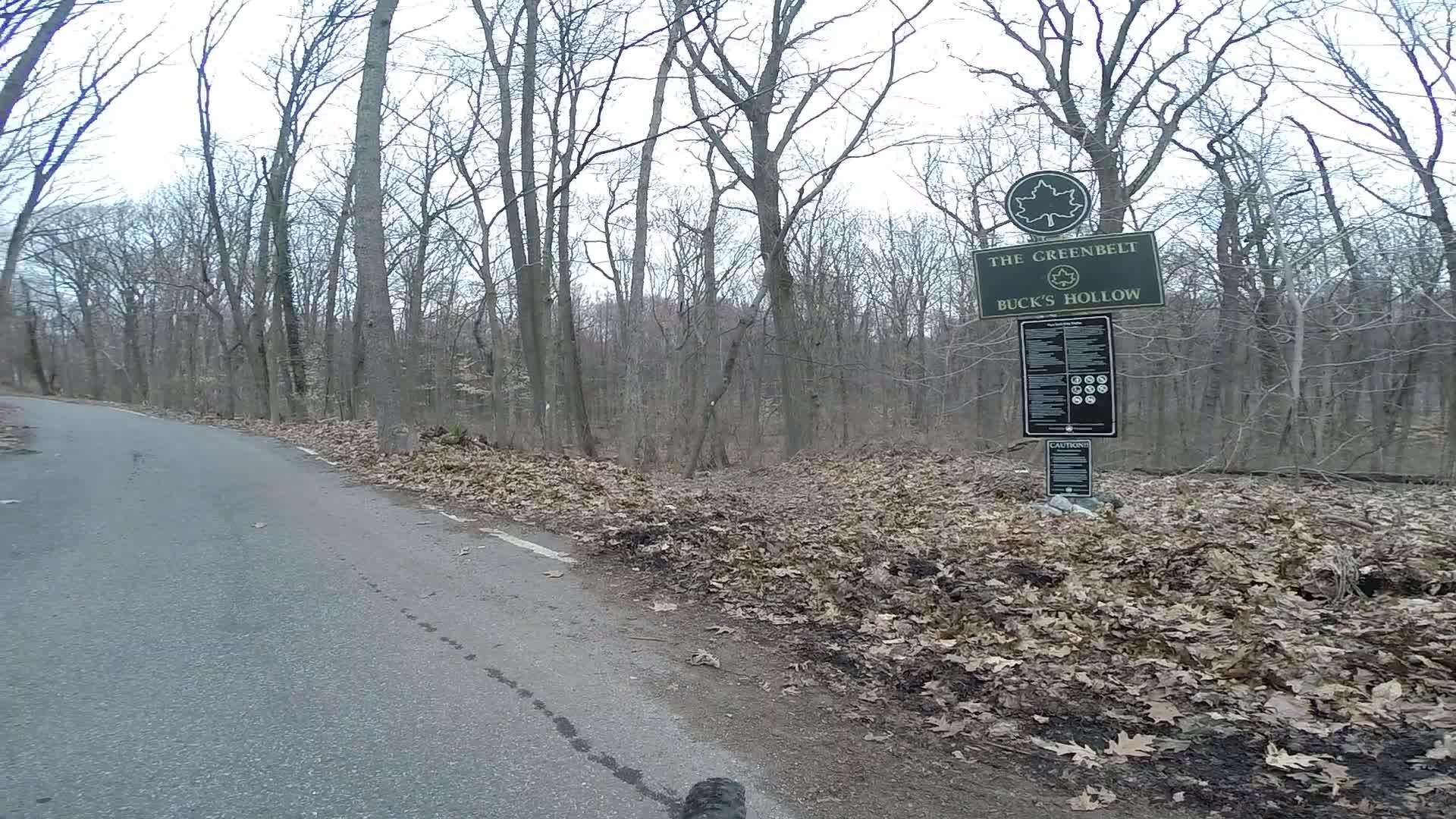 A winding road leads through a wooded area, with a sign for "The Greenbelt @ Buck's Hollow" visible on the right. The landscape features bare trees and a carpet of brown leaves on the ground, indicating a late winter or early spring setting. Richmond Avenue and Forest Hill road mountain bike trail.