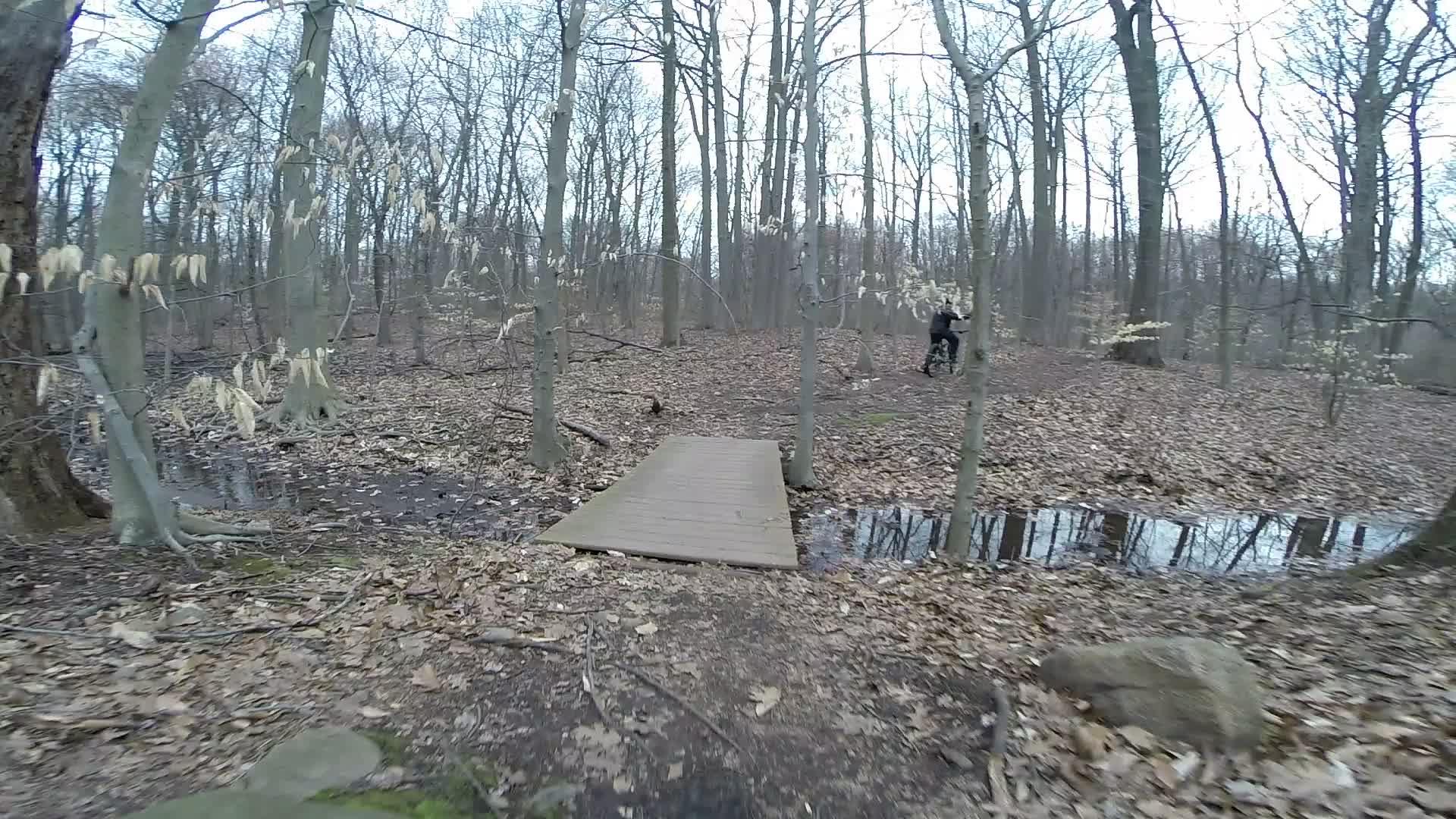A wooded area with bare trees and fallen leaves on the ground, featuring a small wooden bridge over a puddle. In the background, a person in black is observed in the distance, engaging with the environment. Richmond Avenue and Forest Hill road mountain bike trail.