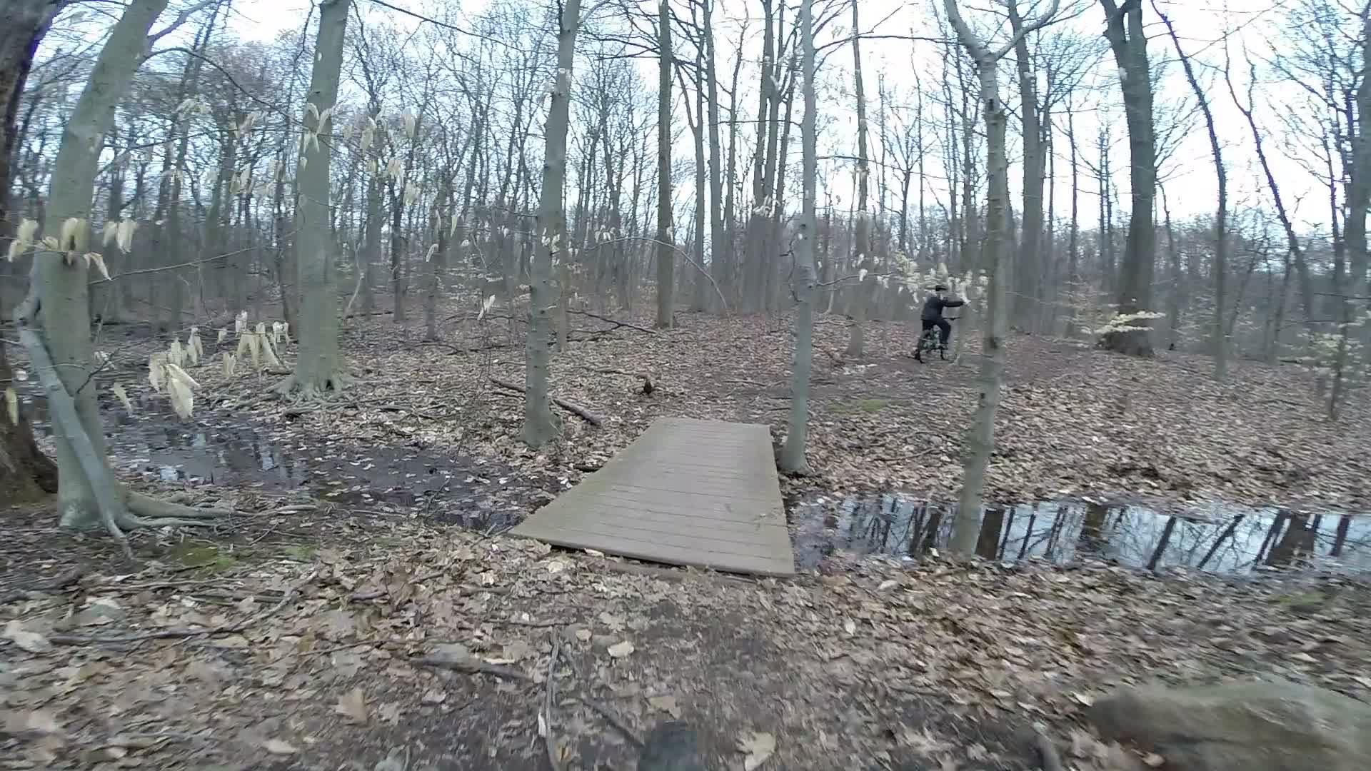  Richmond Avenue and Forest Hill road mountain bike trail.