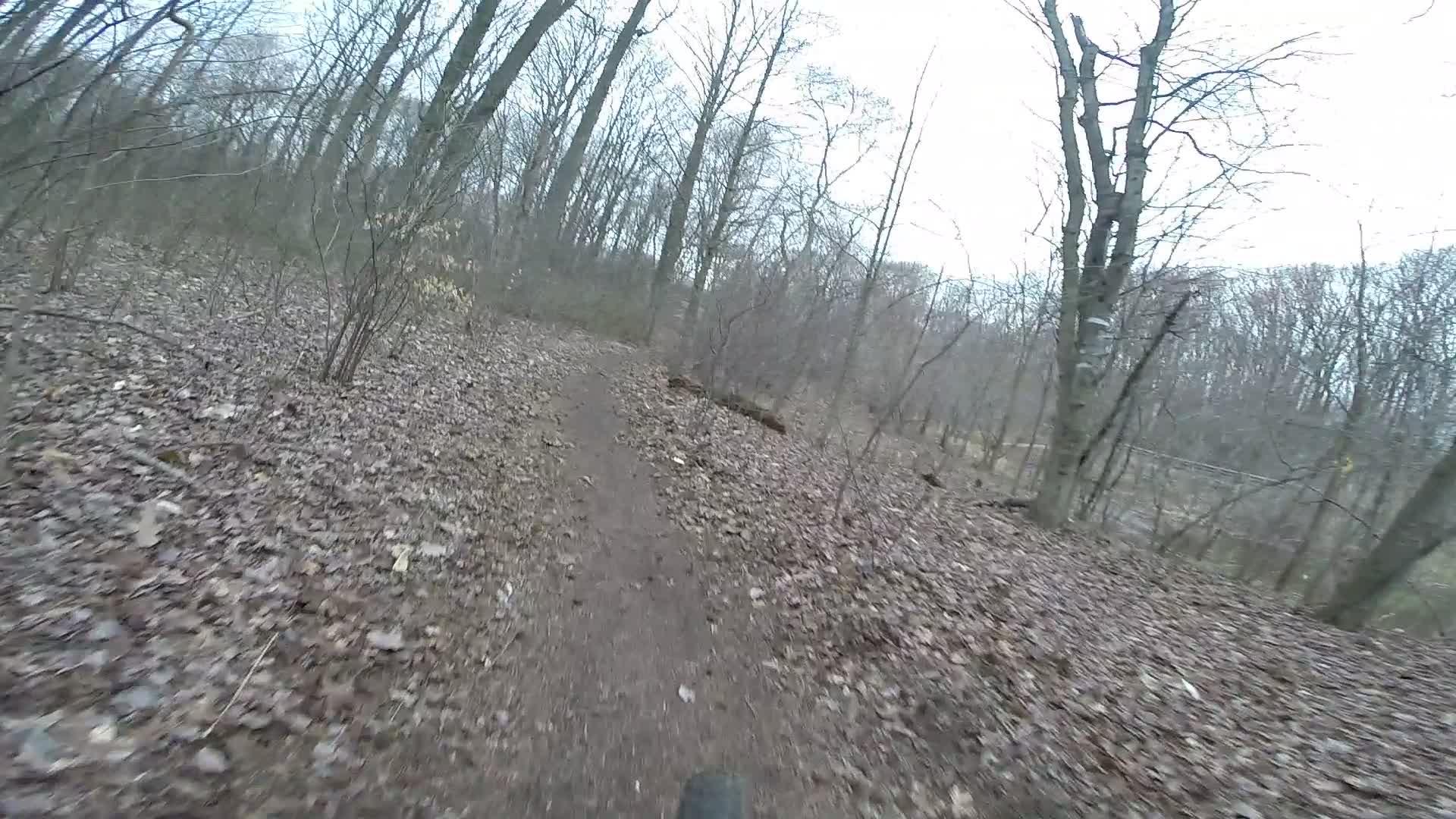 A rocky, winding trail surrounded by bare trees and fallen leaves in a wooded area, with a slight incline visible in the path ahead. The sky is overcast, indicating a cool, possibly damp environment. Richmond Avenue and Forest Hill road mountain bike trail.