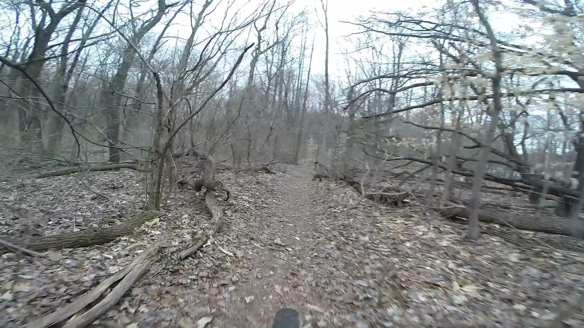 A narrow, winding trail through a wooded area with bare trees and scattered fallen branches, surrounded by dried leaves on the ground, creating a serene and natural setting. Richmond Avenue and Forest Hill road mountain bike trail.