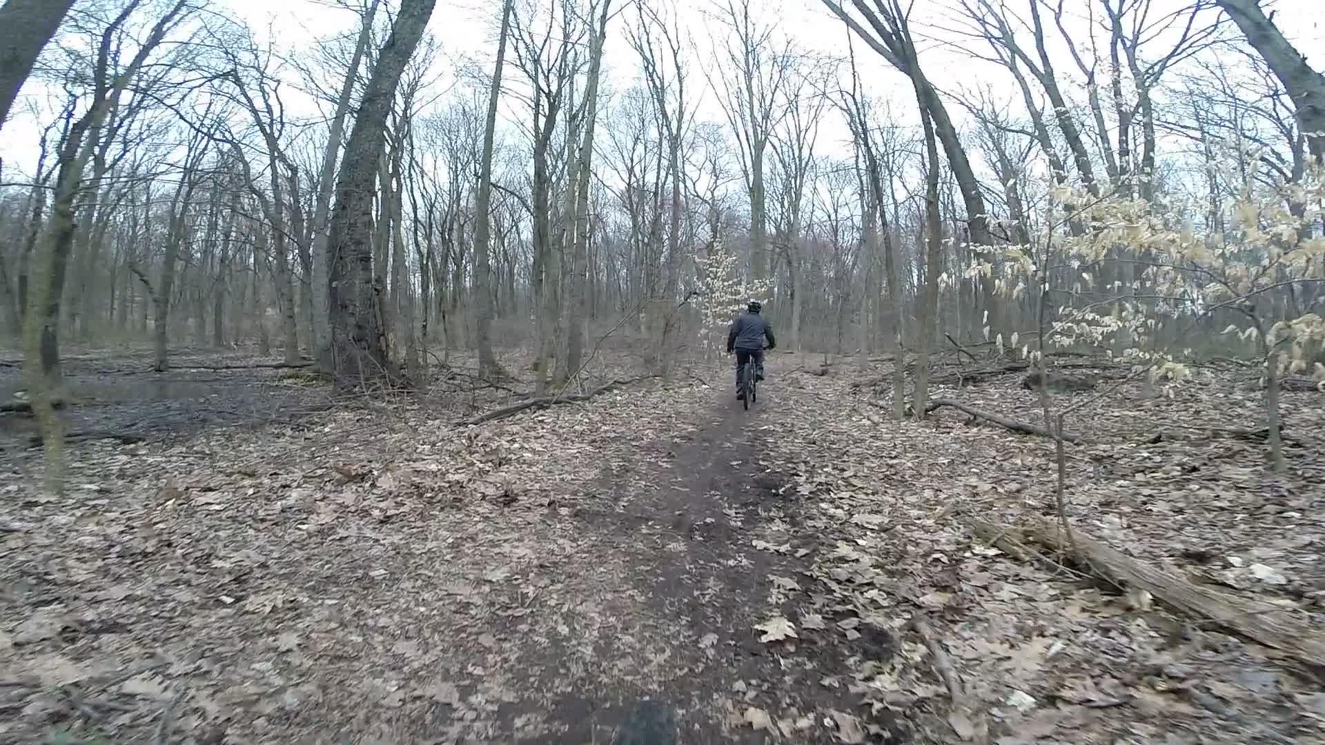 A cyclist riding on a narrow dirt trail through a forest in early spring, surrounded by bare trees and scattered leaves on the ground. Richmond Avenue and Forest Hill road mountain bike trail.