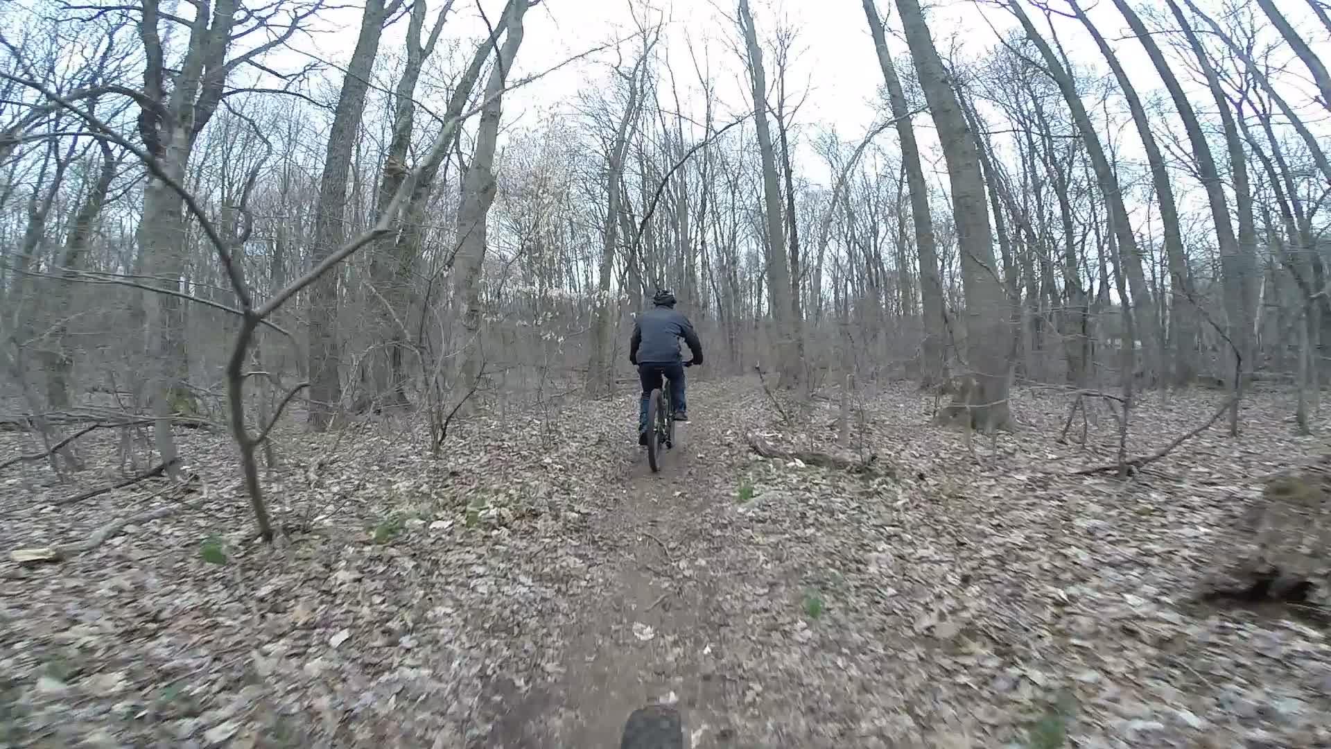 A person biking on a narrow trail through a dense forest of bare trees, with leaf-covered ground and overcast skies. Richmond Avenue and Forest Hill road mountain bike trail.